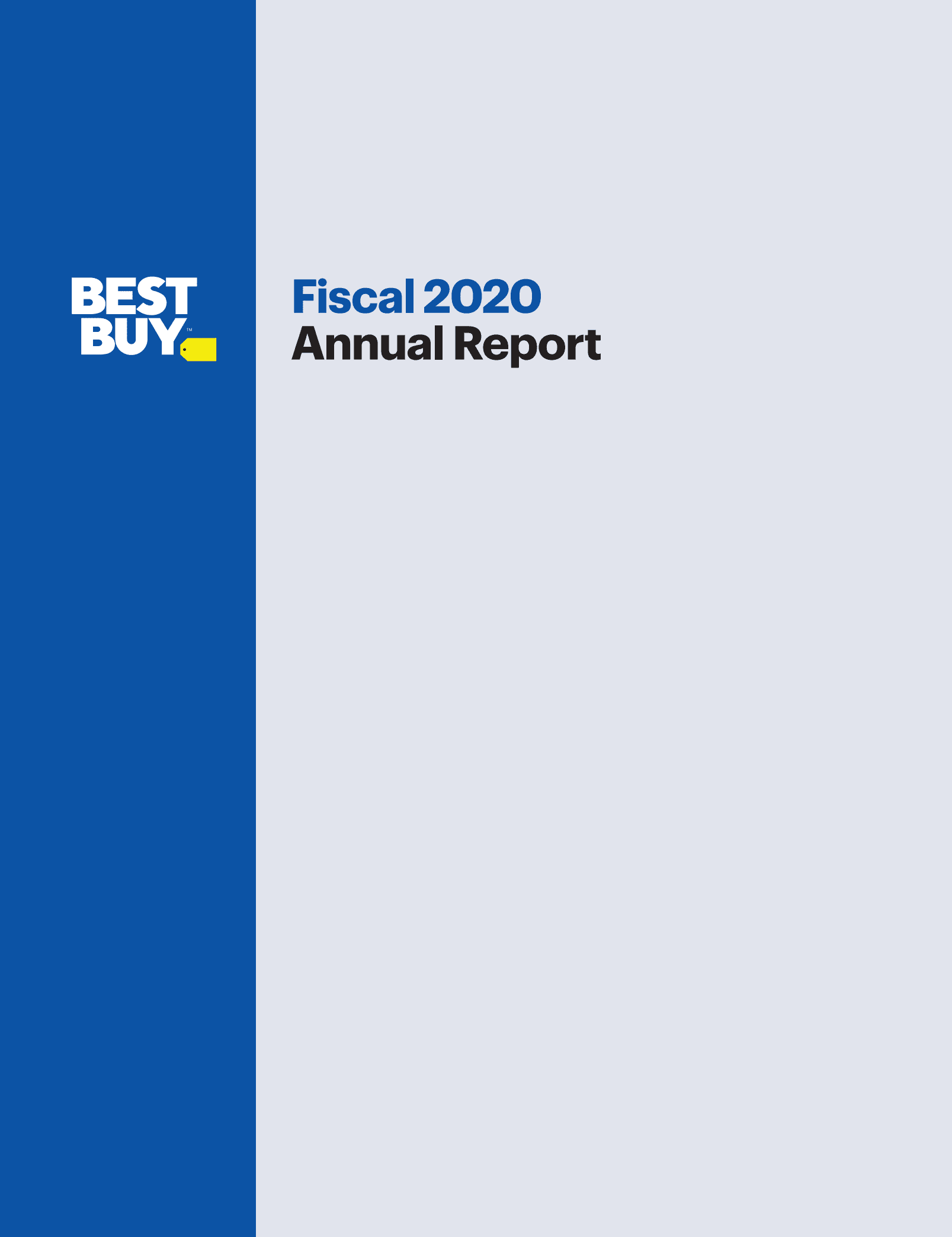 百思买（BEST BUY）2020财年年度报告（英文版）.pdf 第1页