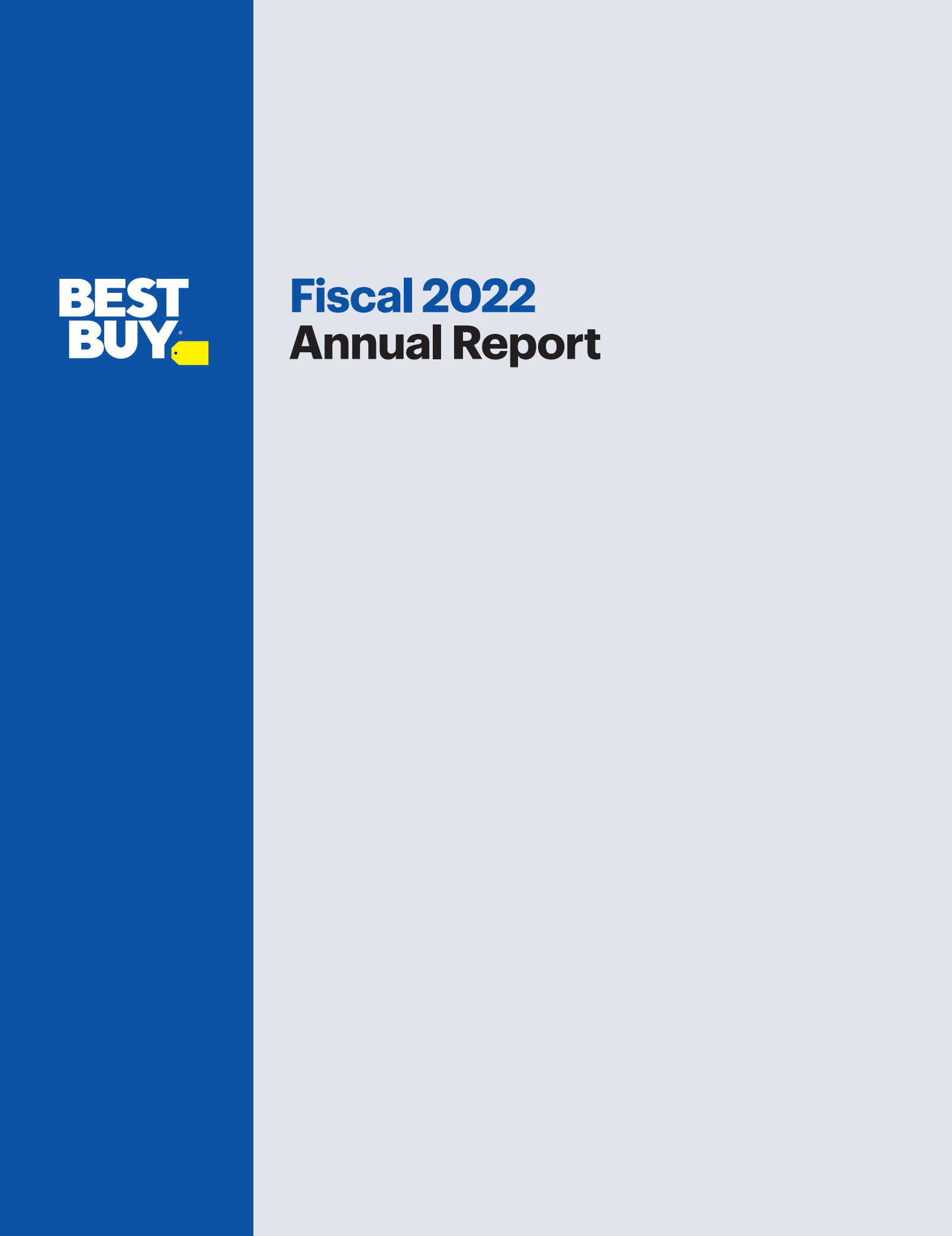 百思买（BEST BUY）2022财年年度报告（英文版）.pdf 第1页