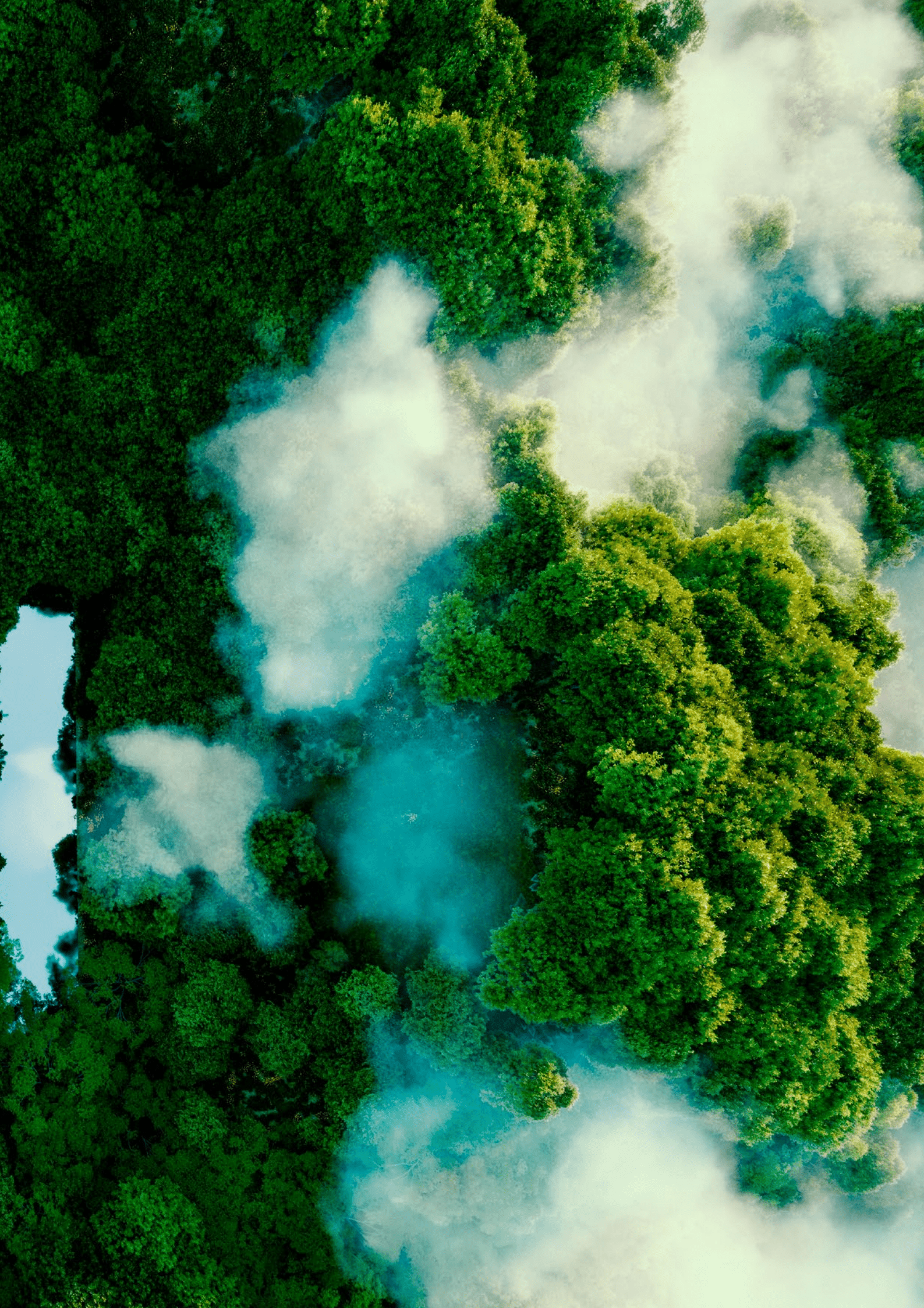 德勤&思爱普：以可持续发展为引领，打造智能低碳企业（2022）.pdf 第2页