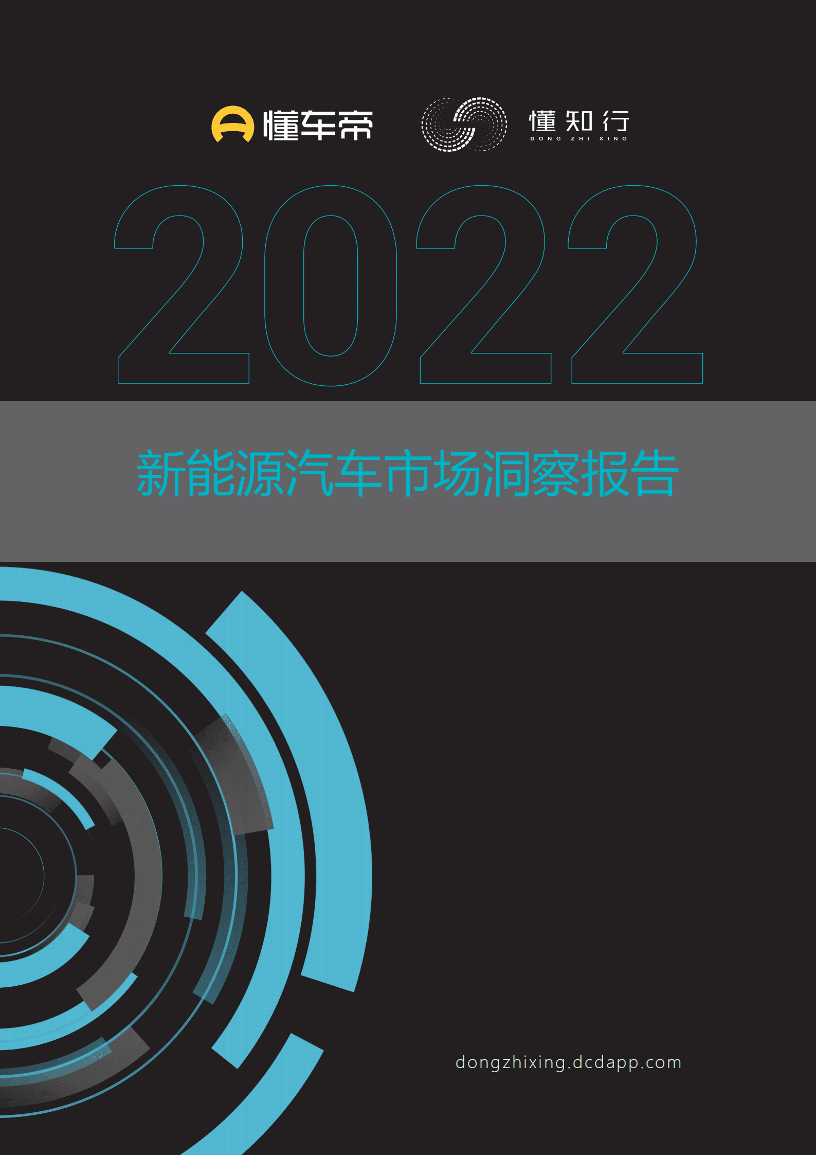 懂车帝：2022新能源汽车市场洞察报告.pdf 第1页