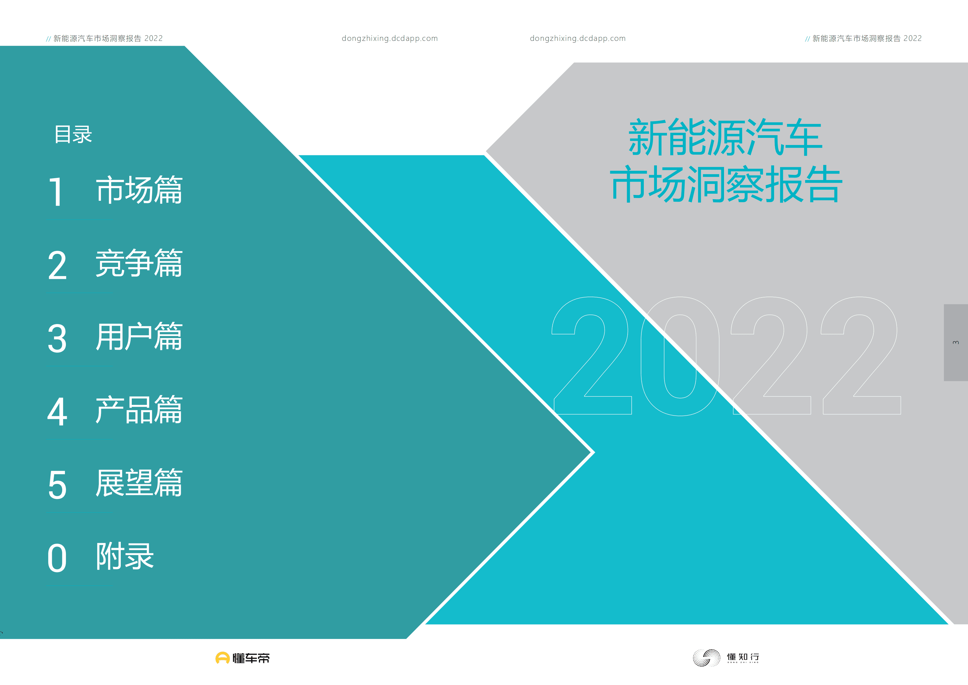 懂车帝：2022新能源汽车市场洞察报告.pdf 第2页