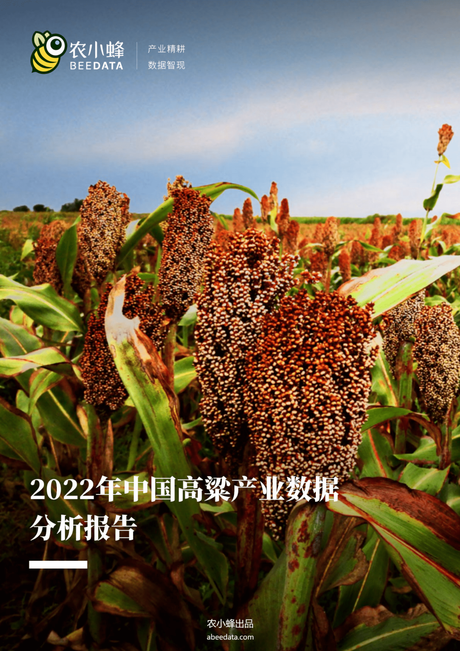 农小蜂：2022年中国高粱产业数据分析报告.pdf 第1页
