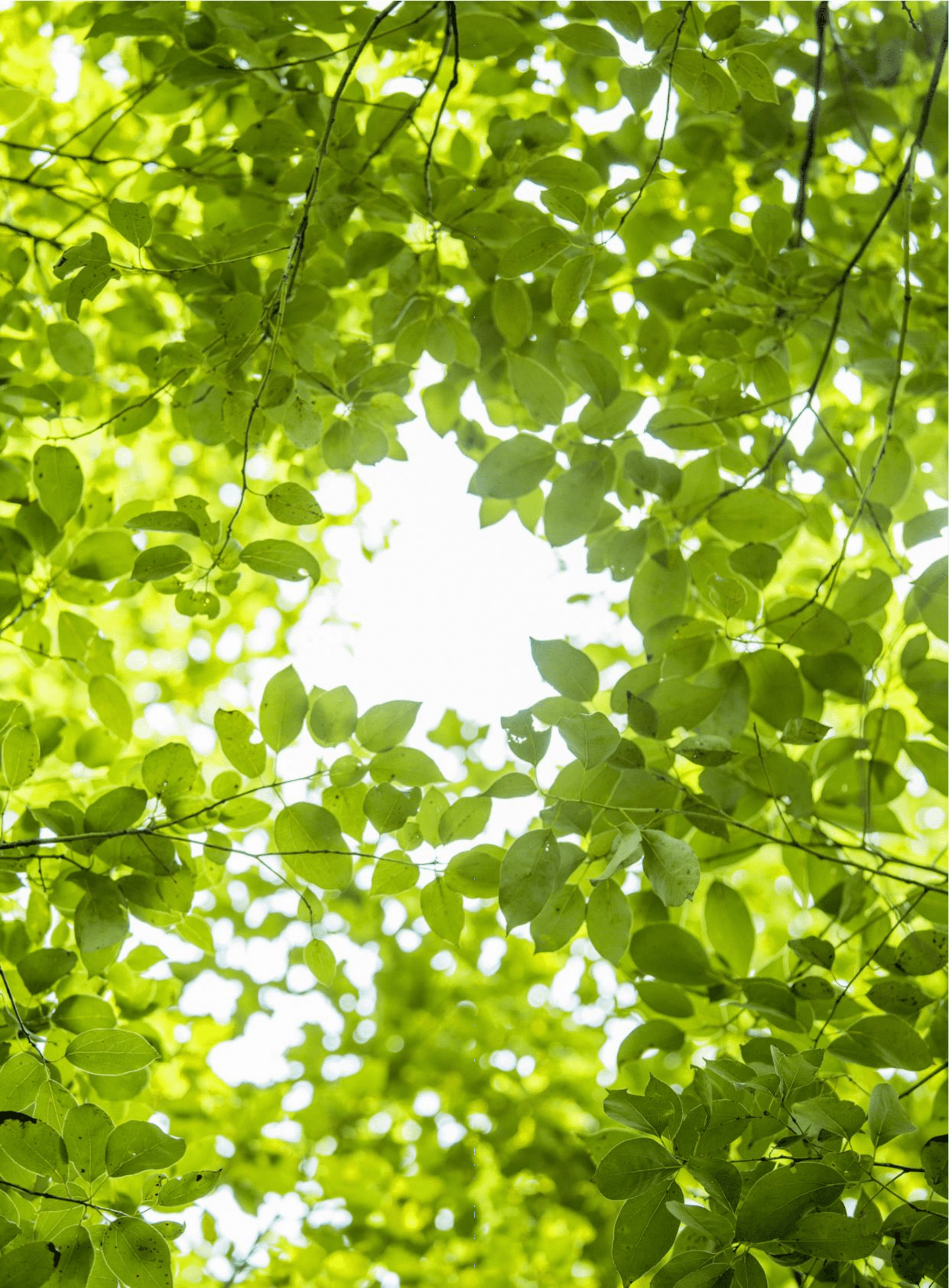 财新智库：中国信托业的ESG发展之路（2022）.pdf 第2页