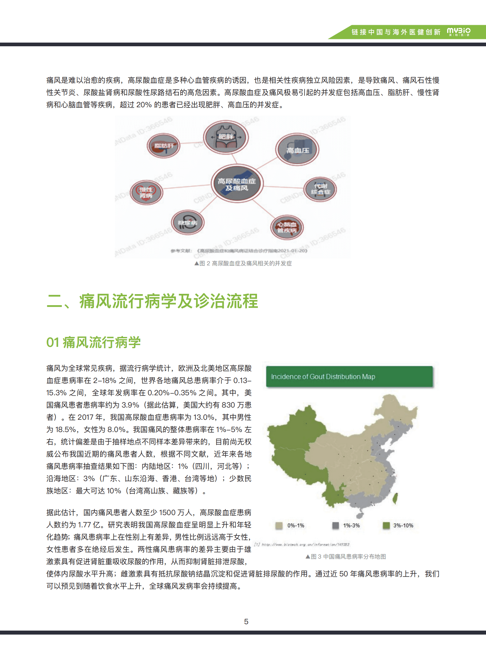 美柏资本：2022抗痛风及降尿酸药物研究研究报告.pdf 第5页