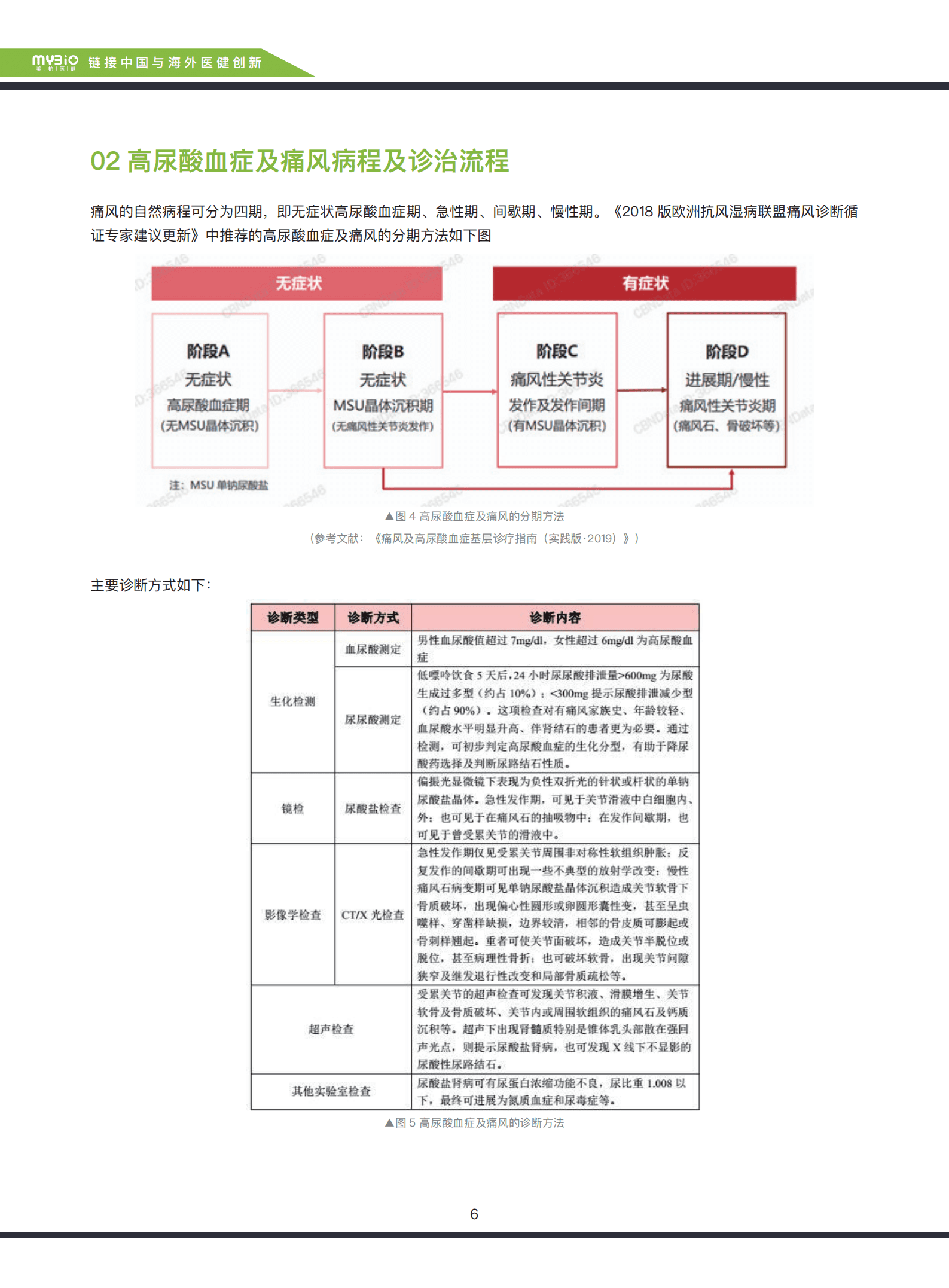 美柏资本：2022抗痛风及降尿酸药物研究研究报告.pdf 第6页