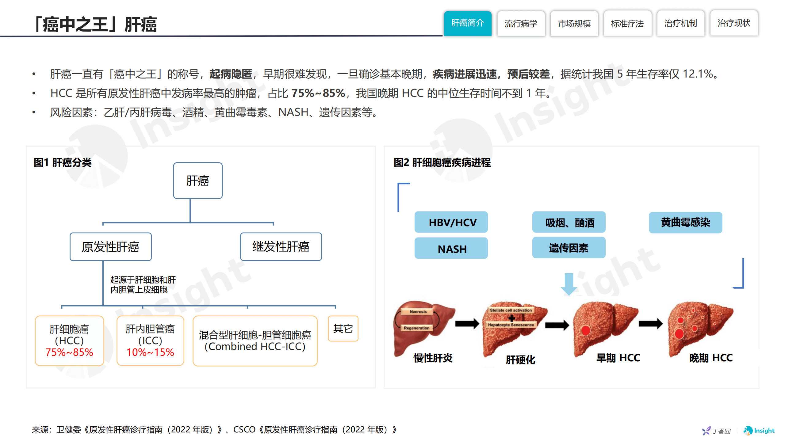 丁香园：晚期肝细胞癌治疗创新药研发进展报告（2022）.pdf 第6页