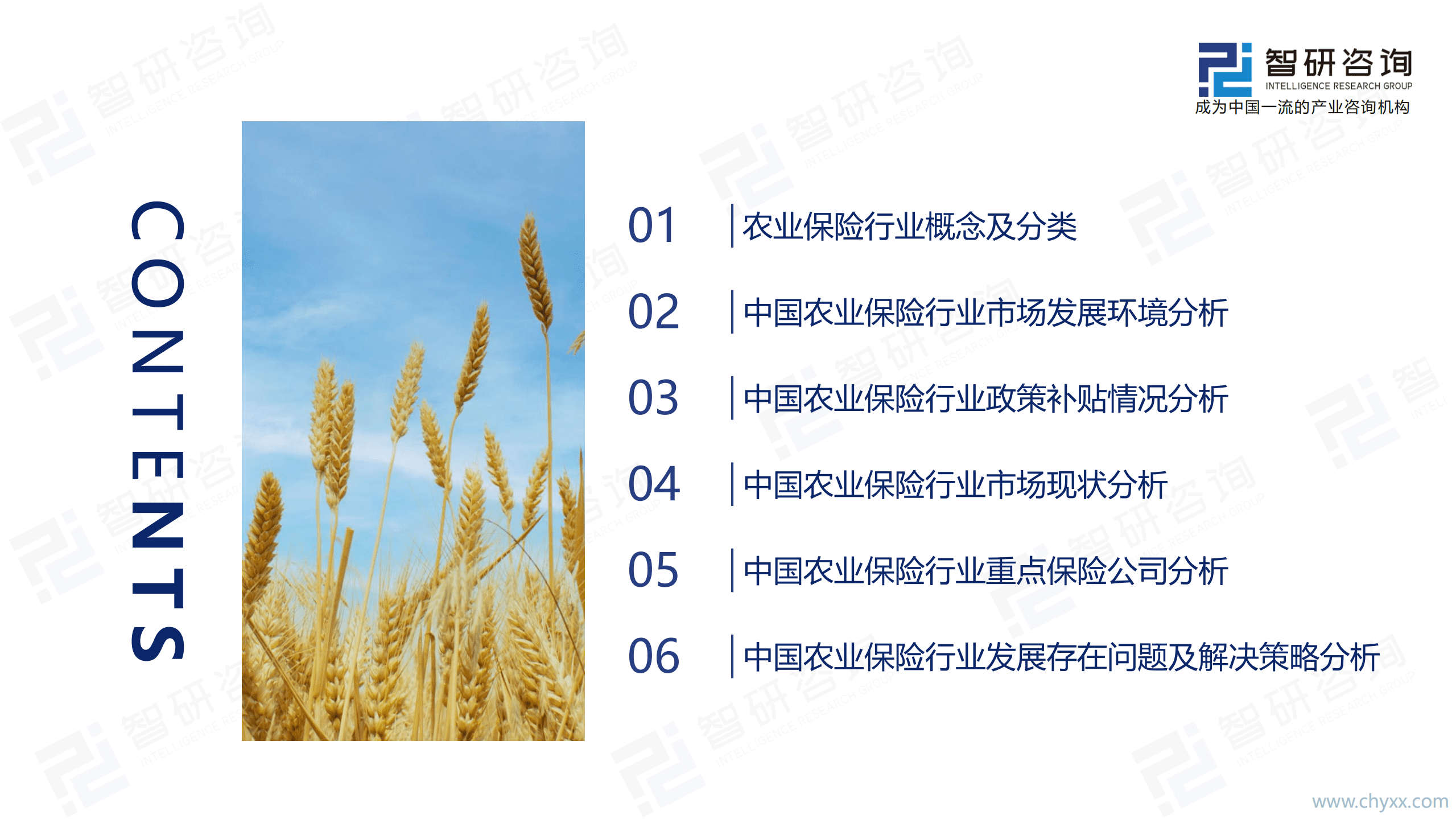 智研咨询：2021年中国农业保险行业市场分析及发展策略研究报告.pdf 第2页