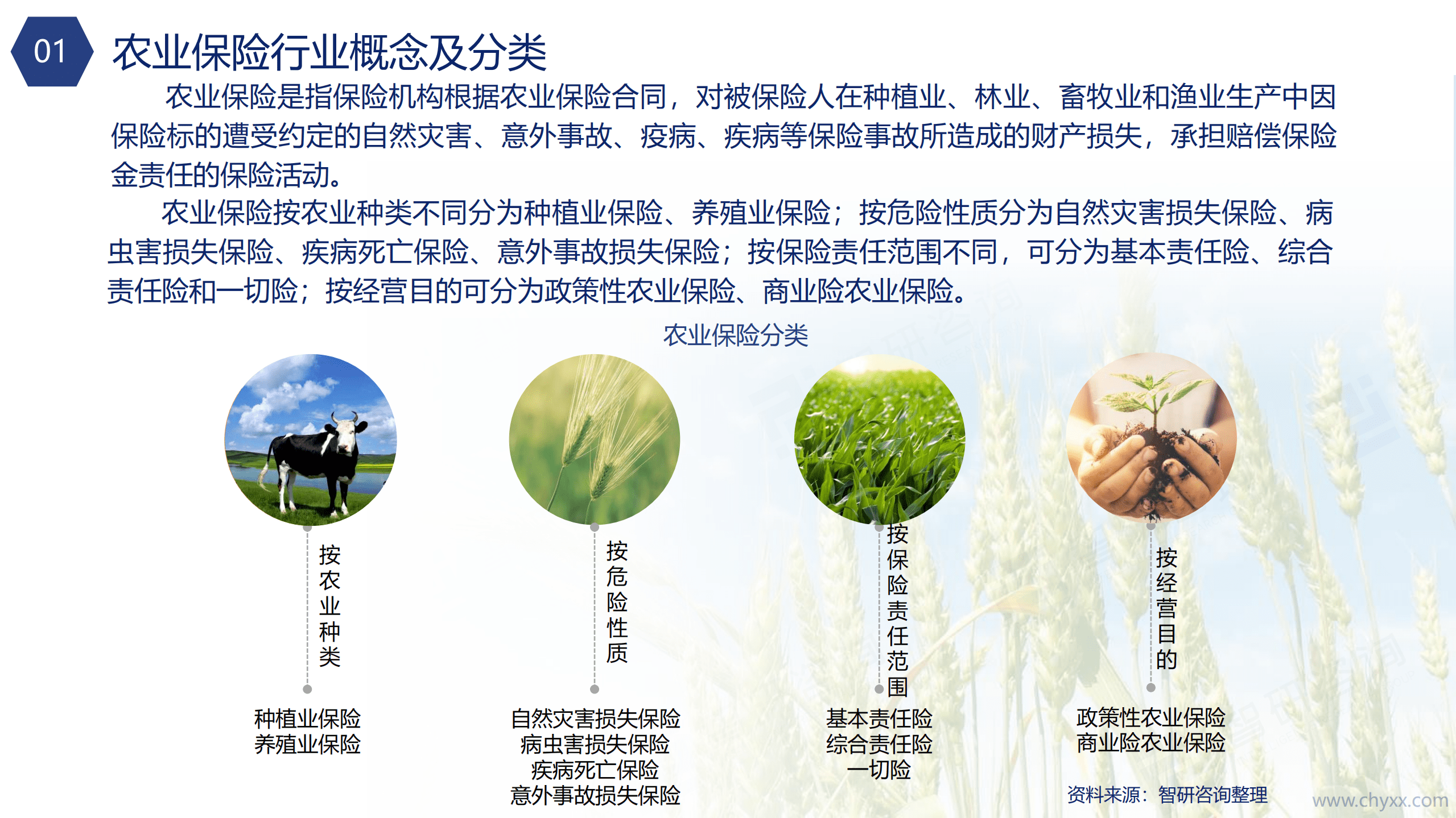 智研咨询：2021年中国农业保险行业市场分析及发展策略研究报告.pdf 第4页