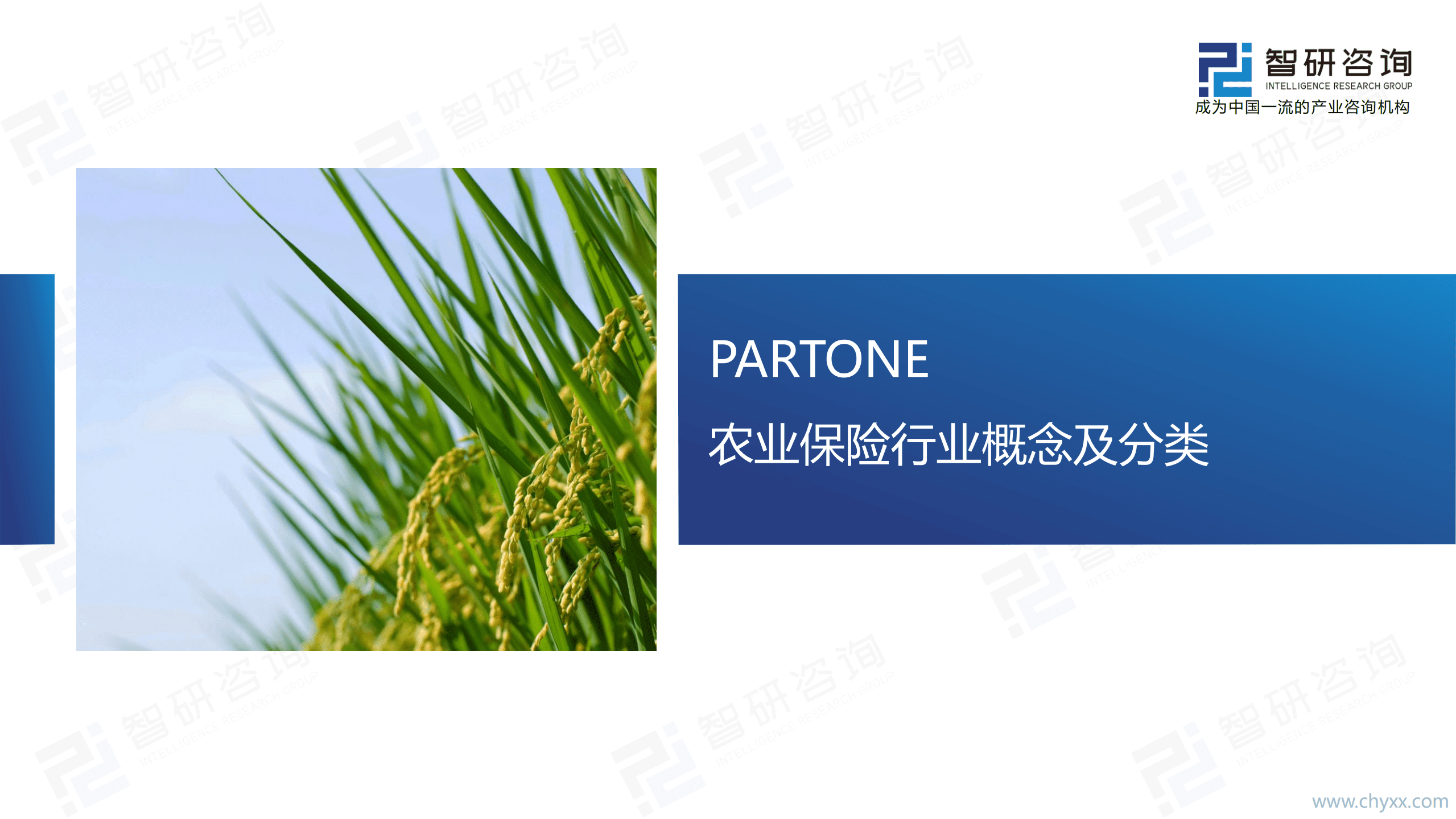 智研咨询：2021年中国农业保险行业市场分析及发展策略研究报告.pdf 第3页