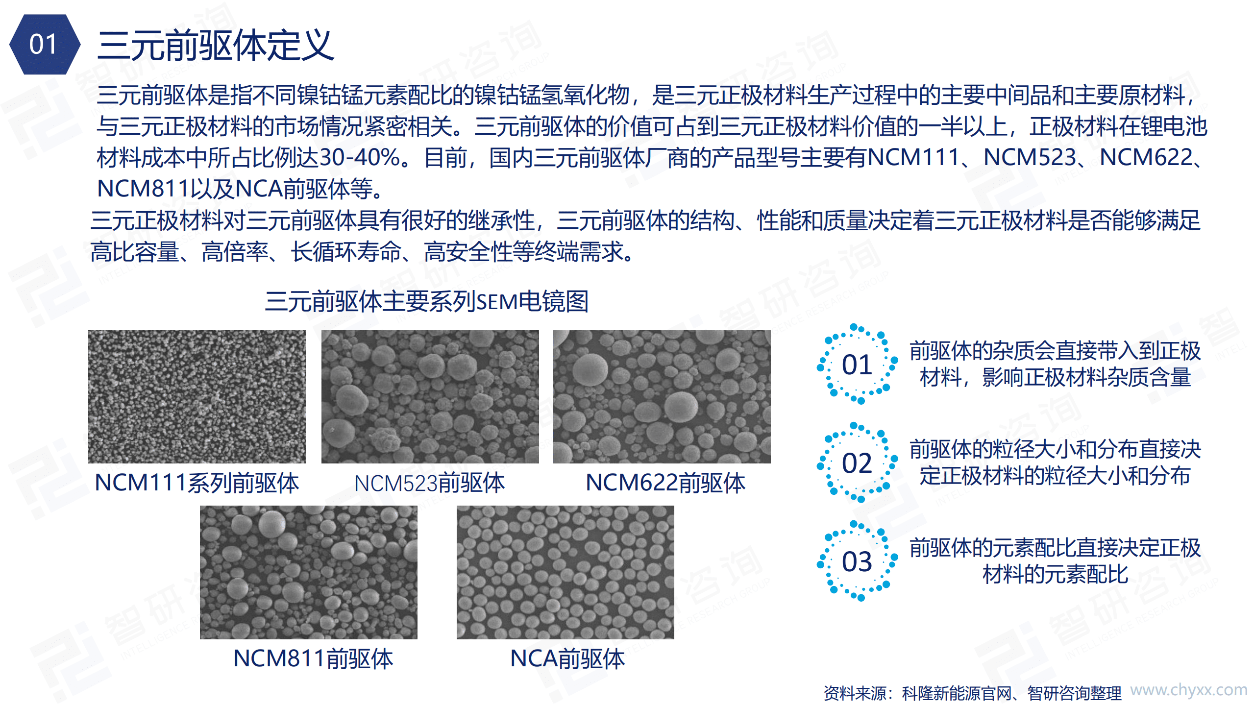 智研咨询：2021年中国三元前驱体行业发展分析及前景预测报告.pdf 第4页
