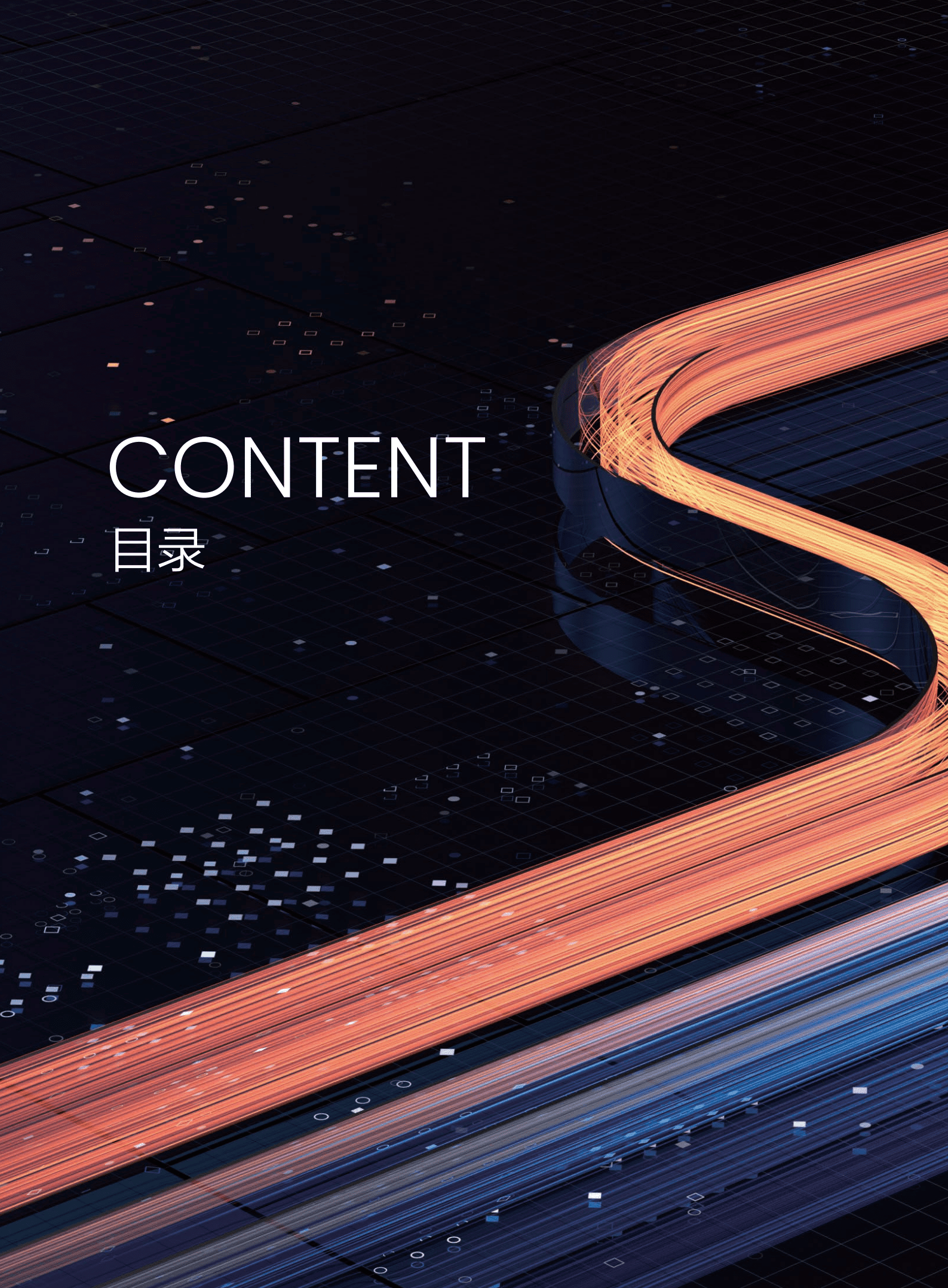 阿里云&罗兰贝格：数智跃迁-企业全生命周期数字化转型路径（2022）.pdf 第2页