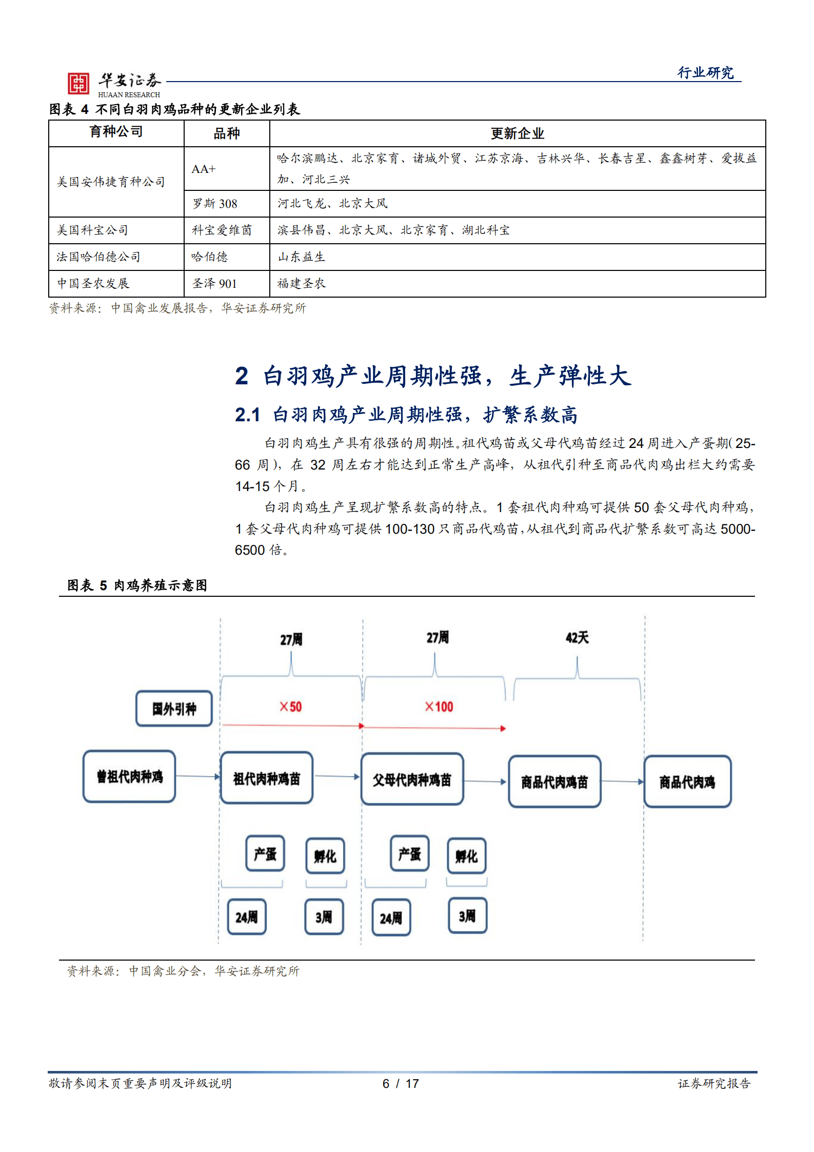 农林牧渔行业：白羽种源垄断打破，大周期启动仍需观察-220927.pdf 第6页