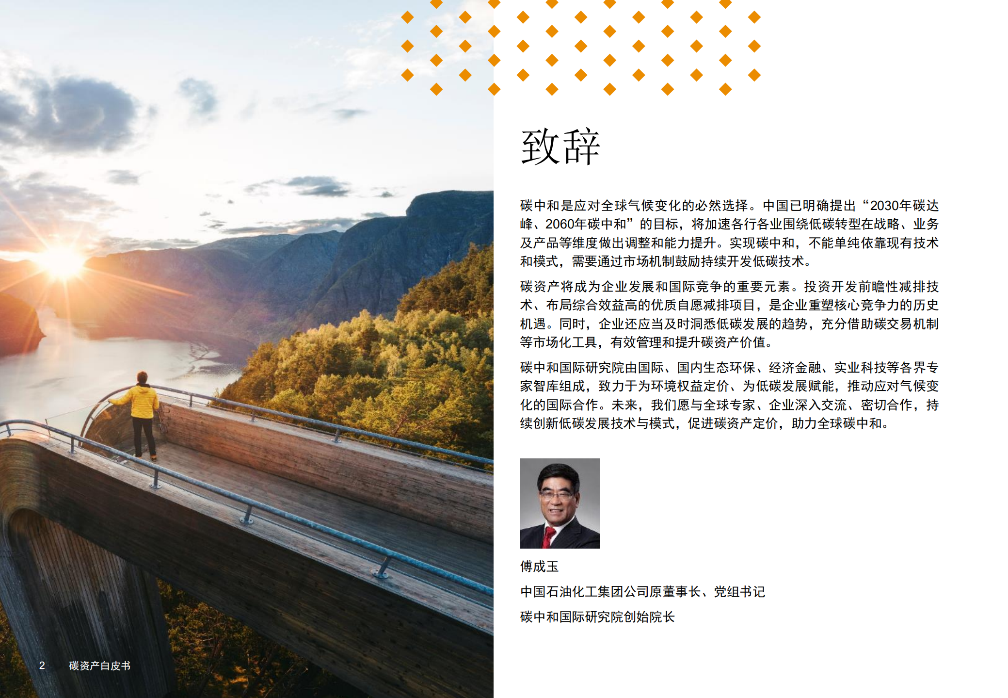 碳资产白皮书：管理现状与前景（普华永道-碳资产白皮书）.pdf 第2页
