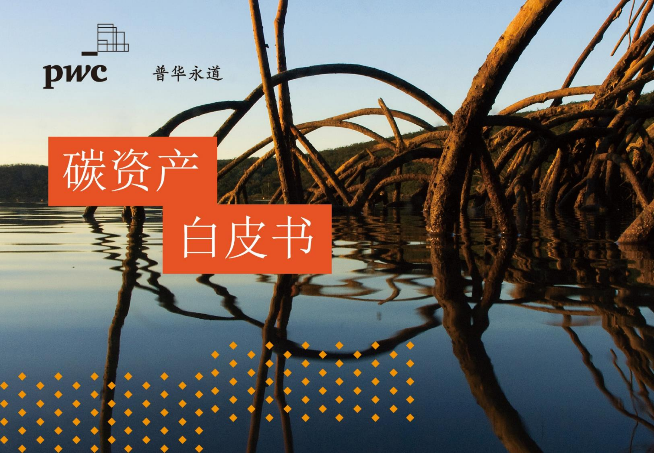 碳资产白皮书：管理现状与前景（普华永道-碳资产白皮书）.pdf 第1页