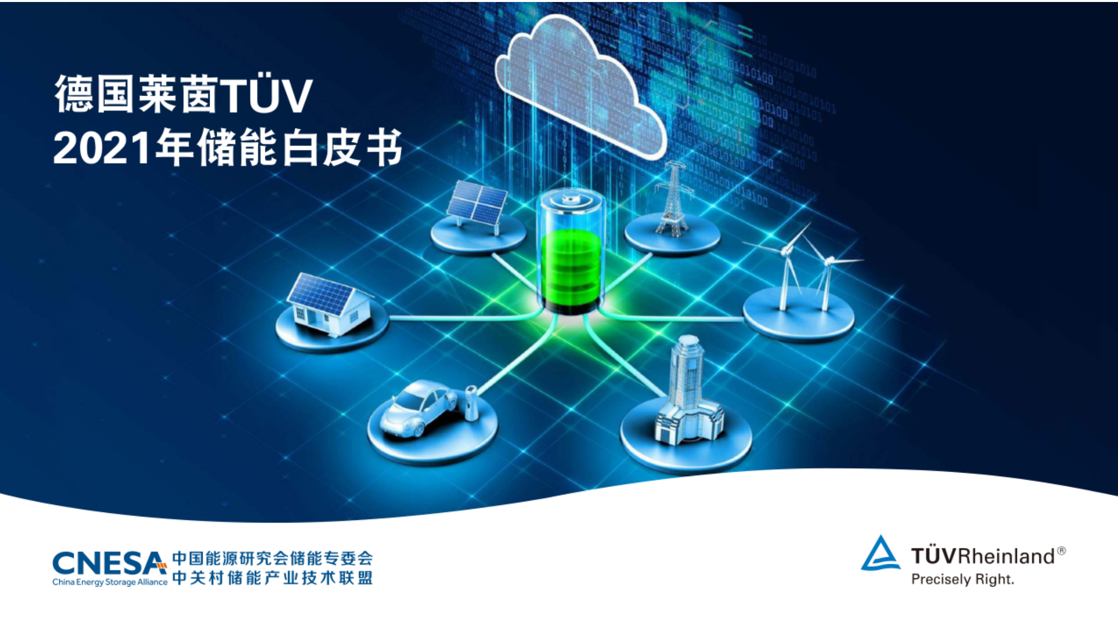 碳中和愿景下2021年储能白皮书（德国莱茵2021年储能白皮书）.pdf 第1页