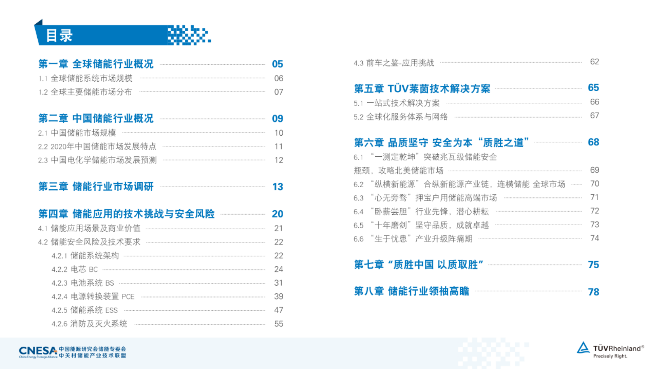 碳中和愿景下2021年储能白皮书（德国莱茵2021年储能白皮书）.pdf 第4页