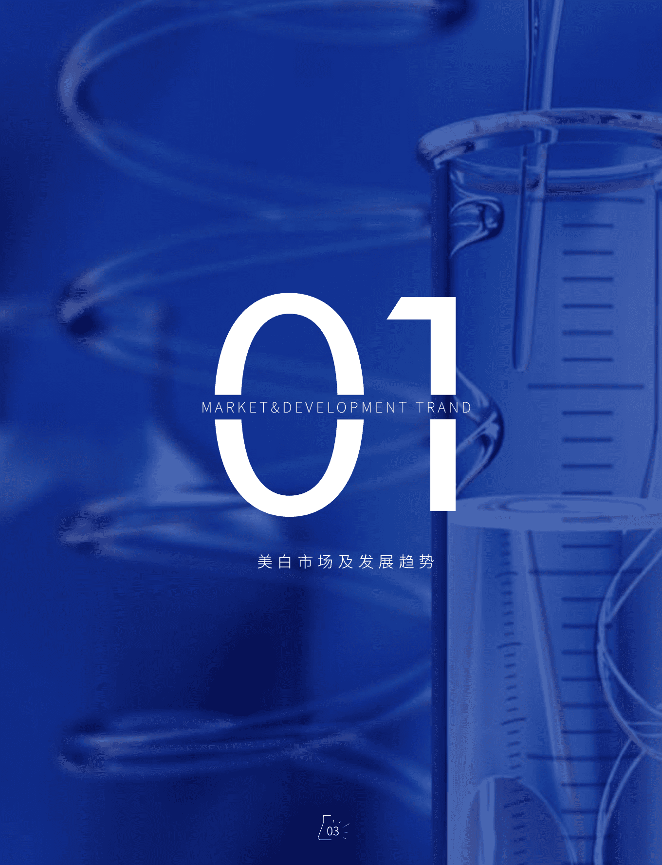 肌肤未来：2022年美白白皮书.pdf 第5页