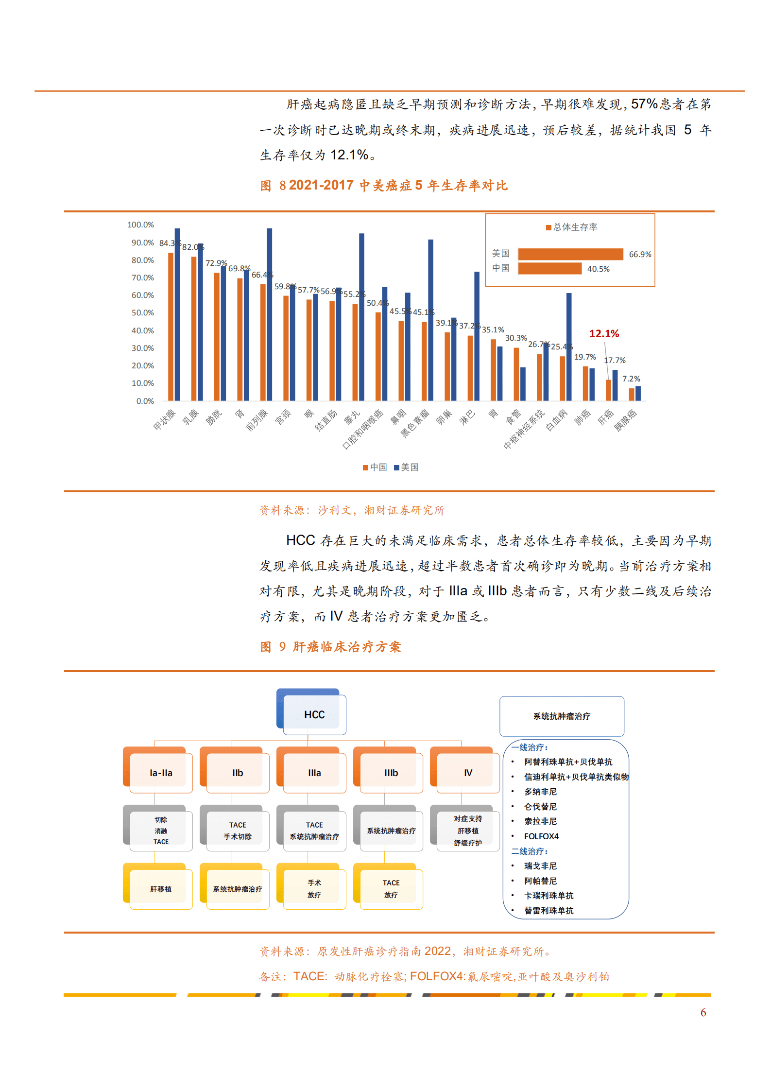 2022年中国肝癌治疗药物市场规模分析报告.pdf 第6页