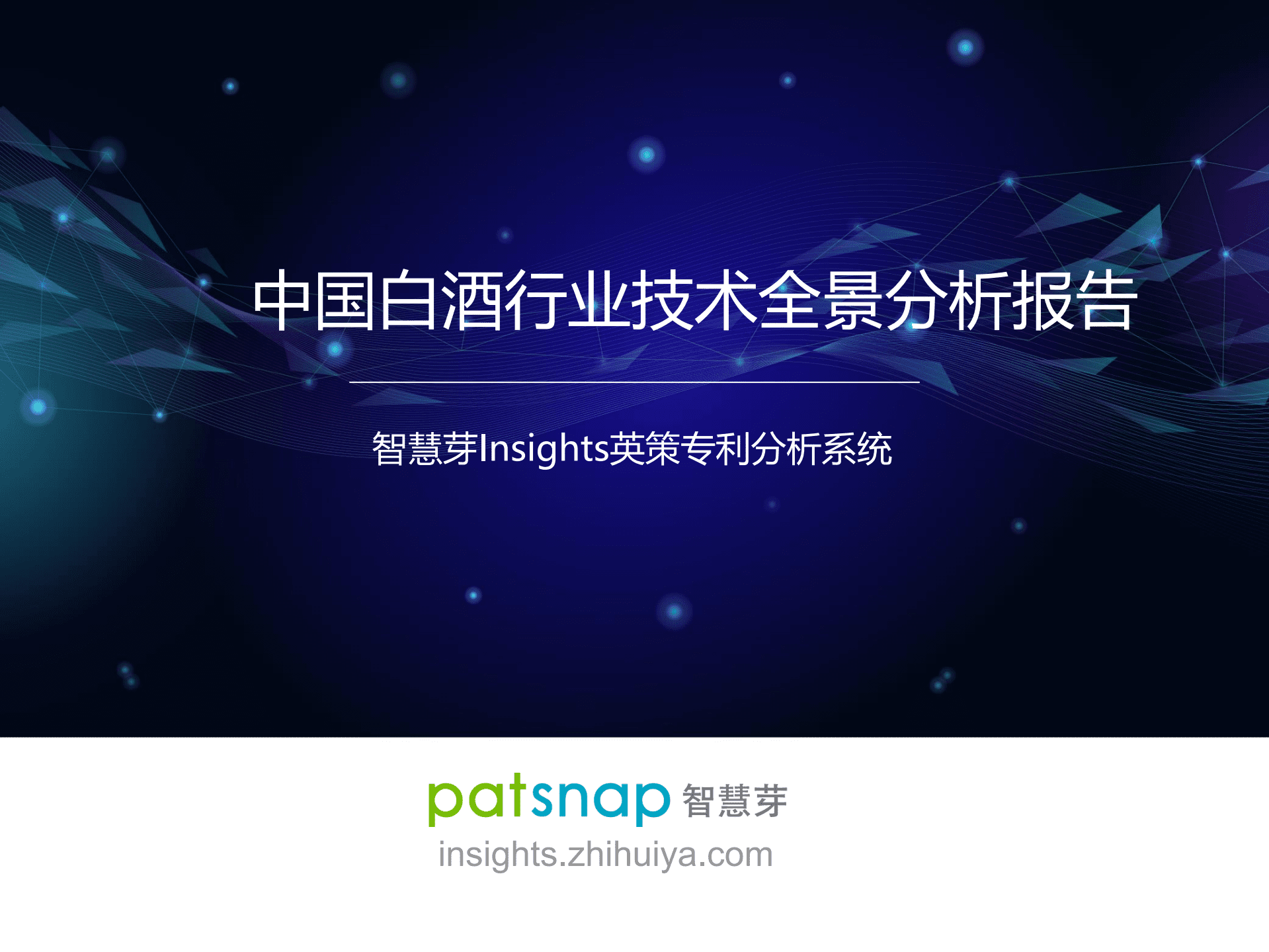 智慧芽：中国白酒行业技术全景分析报告.pdf 第1页