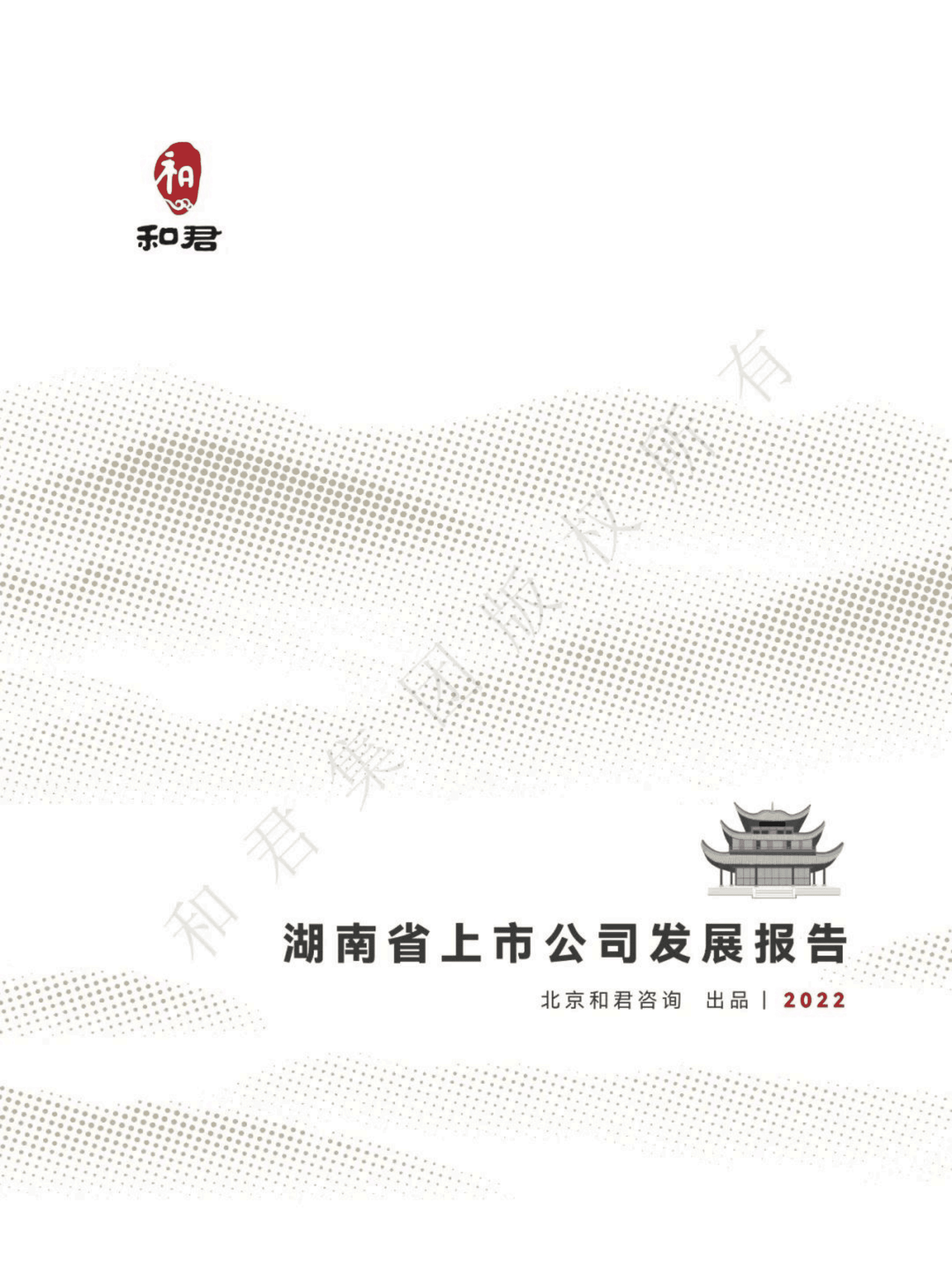 和君咨询：2022湖南省上市公司发展报告.pdf 第1页