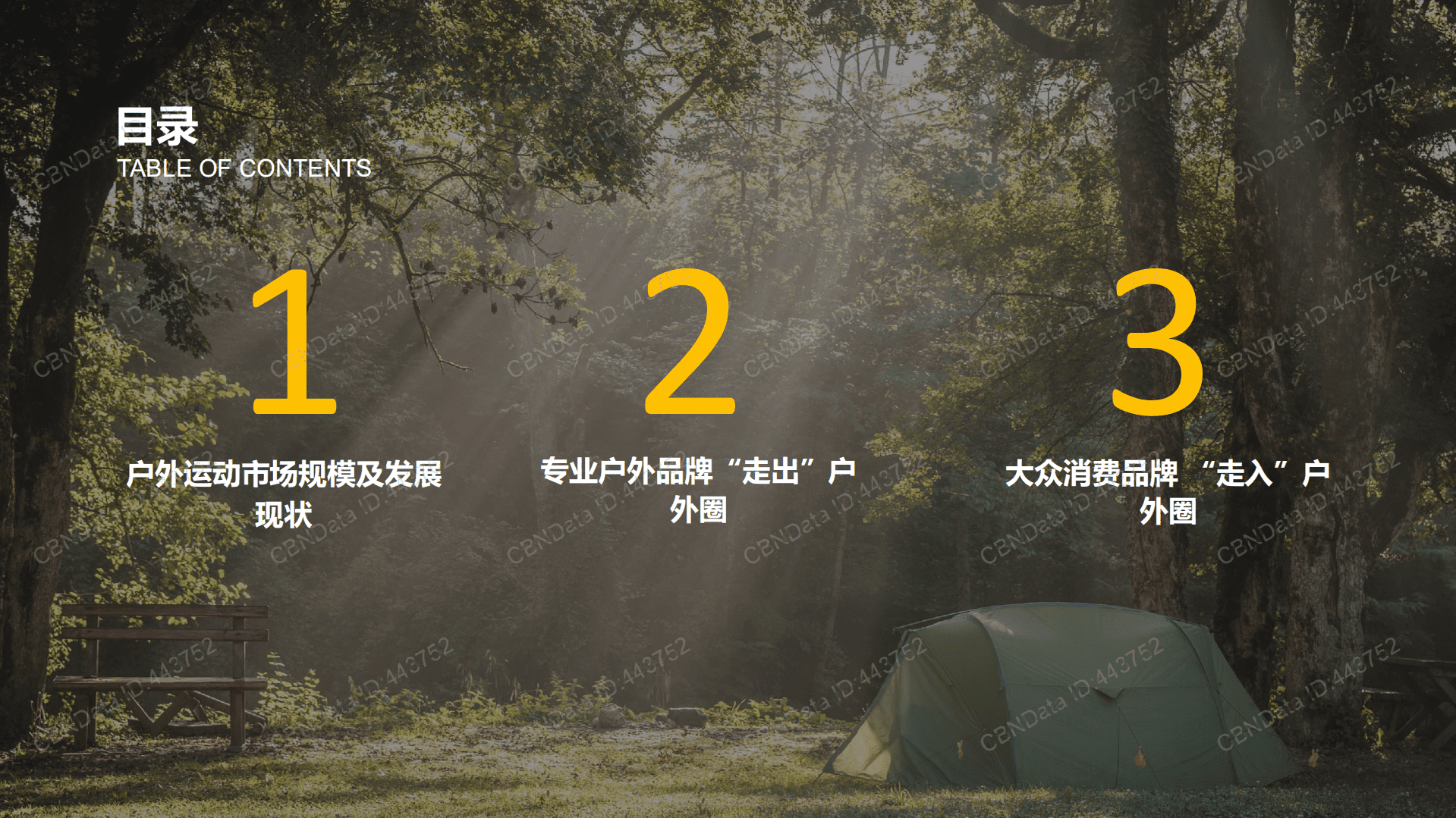 2022户外运动营销价值报告.pdf 第2页