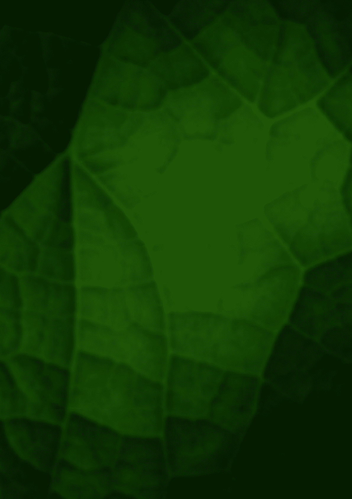 德勤：中国上市银行绿色金融洞察与展望报告（2022）.pdf 第2页