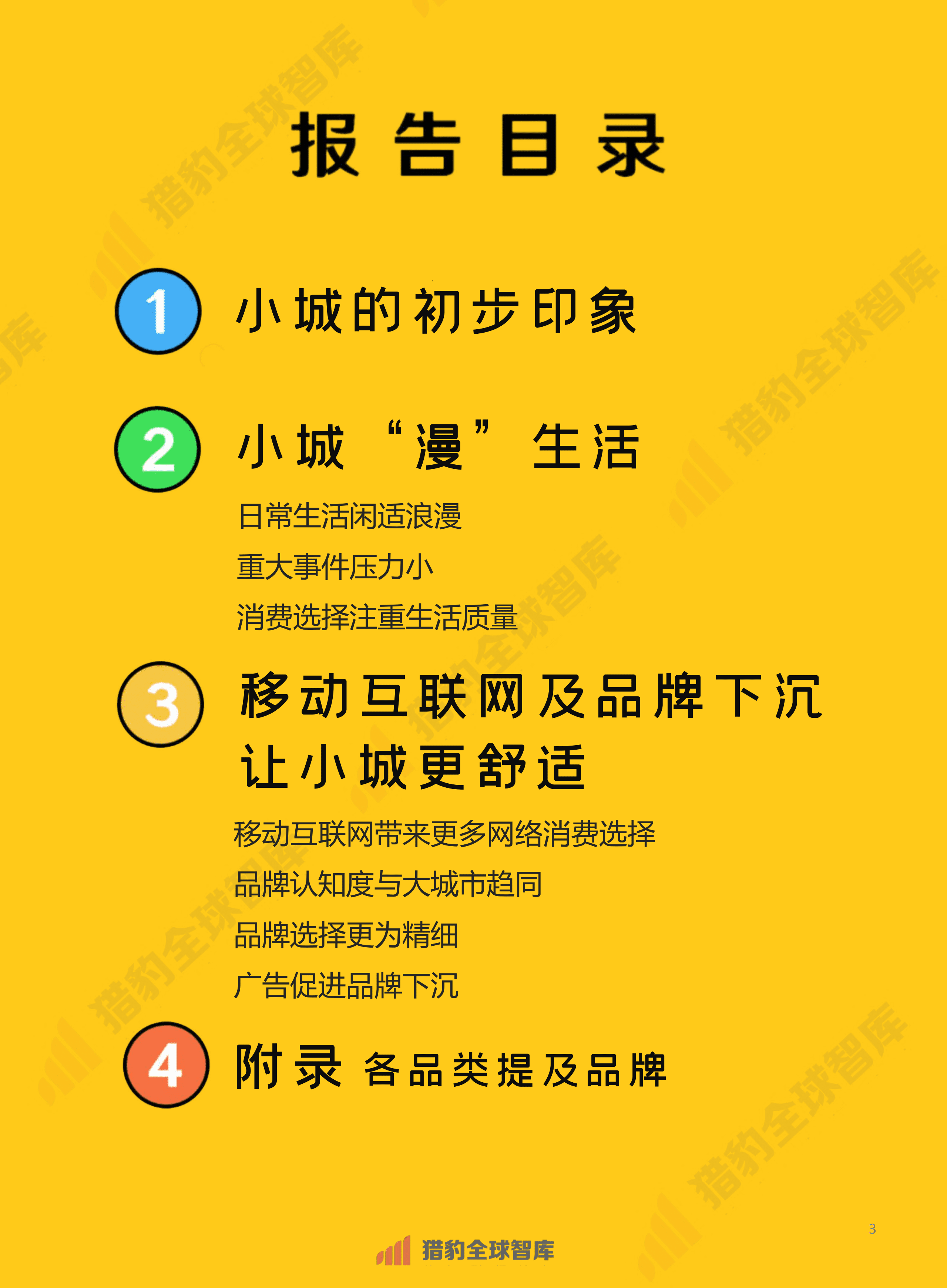 猎豹全球智库：新线城市用户生活与消费形态研究报告.pdf 第3页