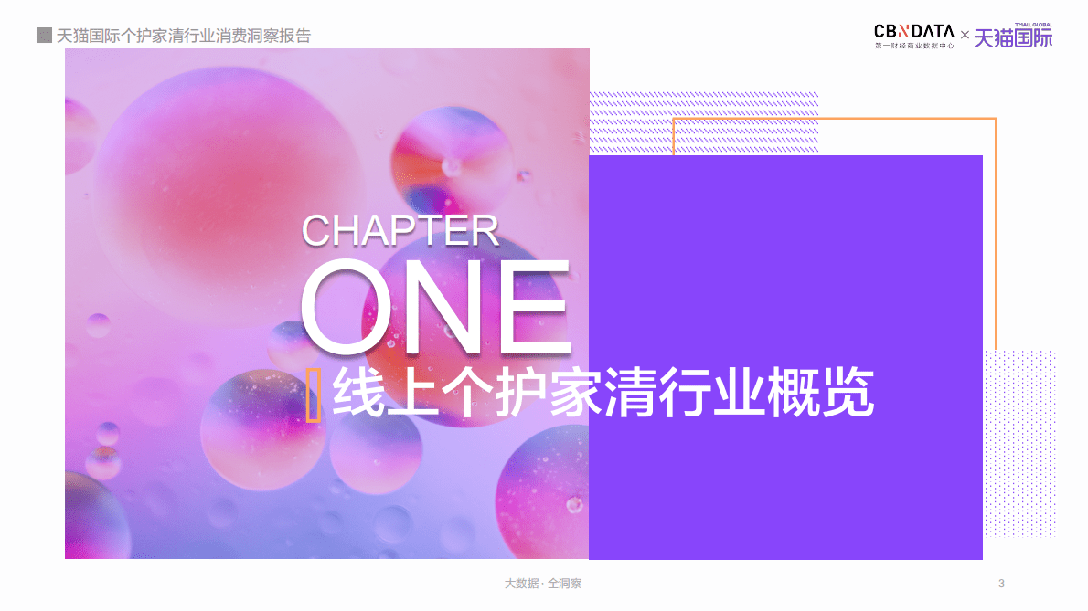 天猫国际个护家清行业消费洞察报告.pdf 第3页