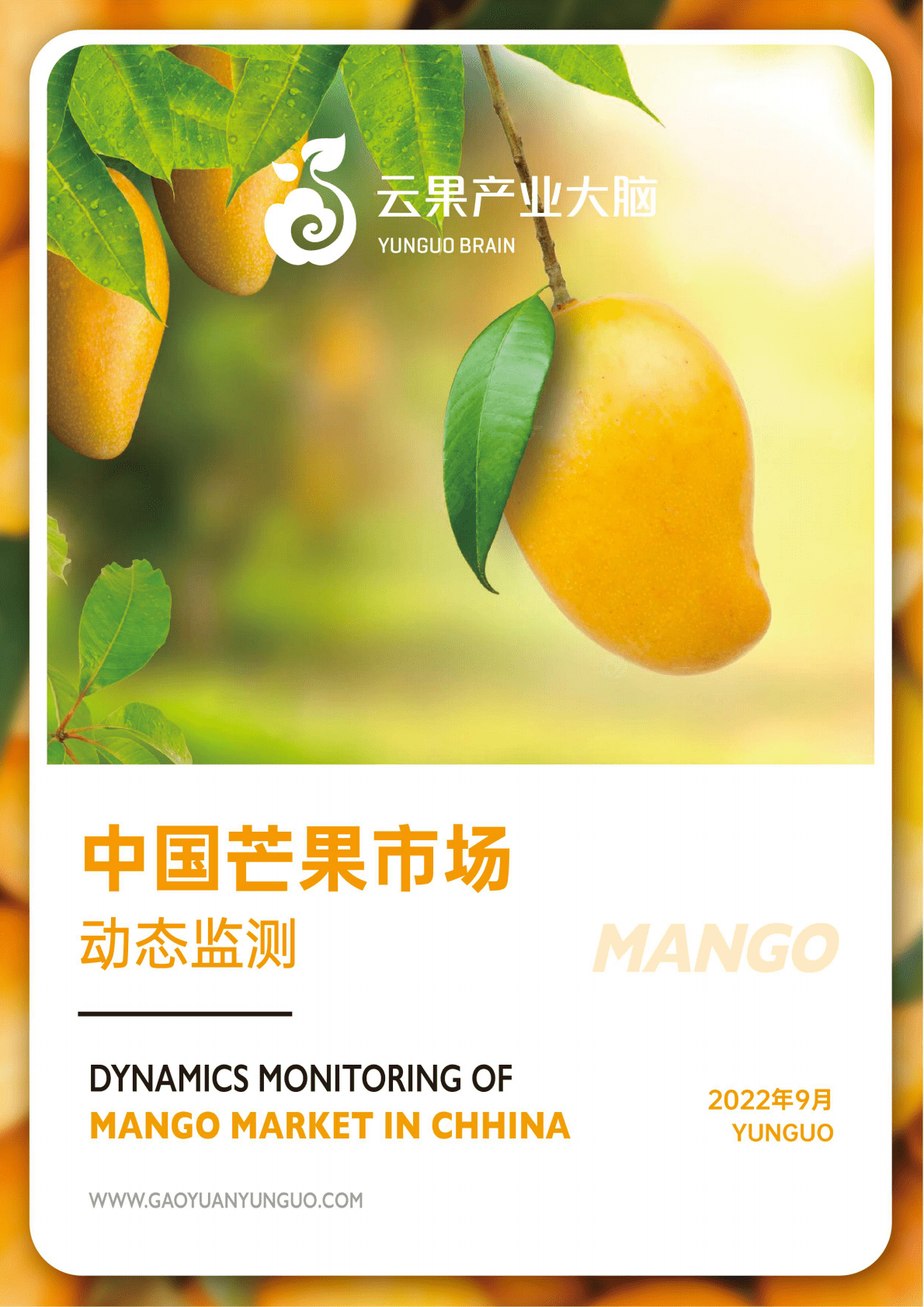 云果：中国芒果市场动态监测(2022年9月) 第1页