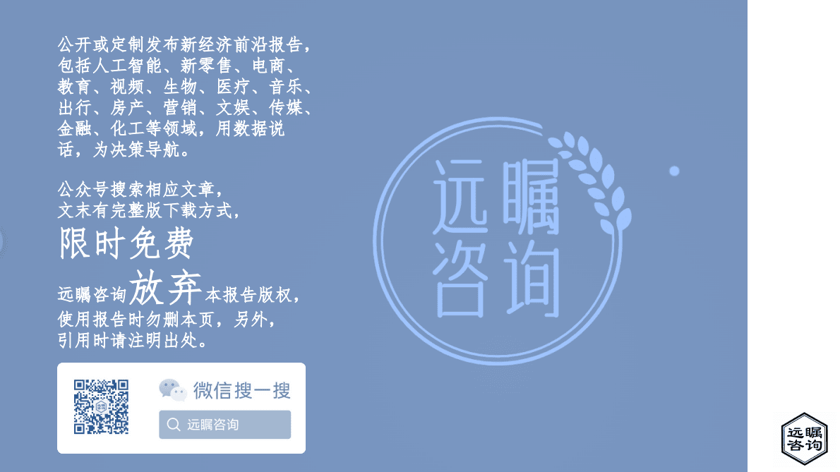 远瞩咨询：2022年全球免税店和旅游零售业分析 第2页