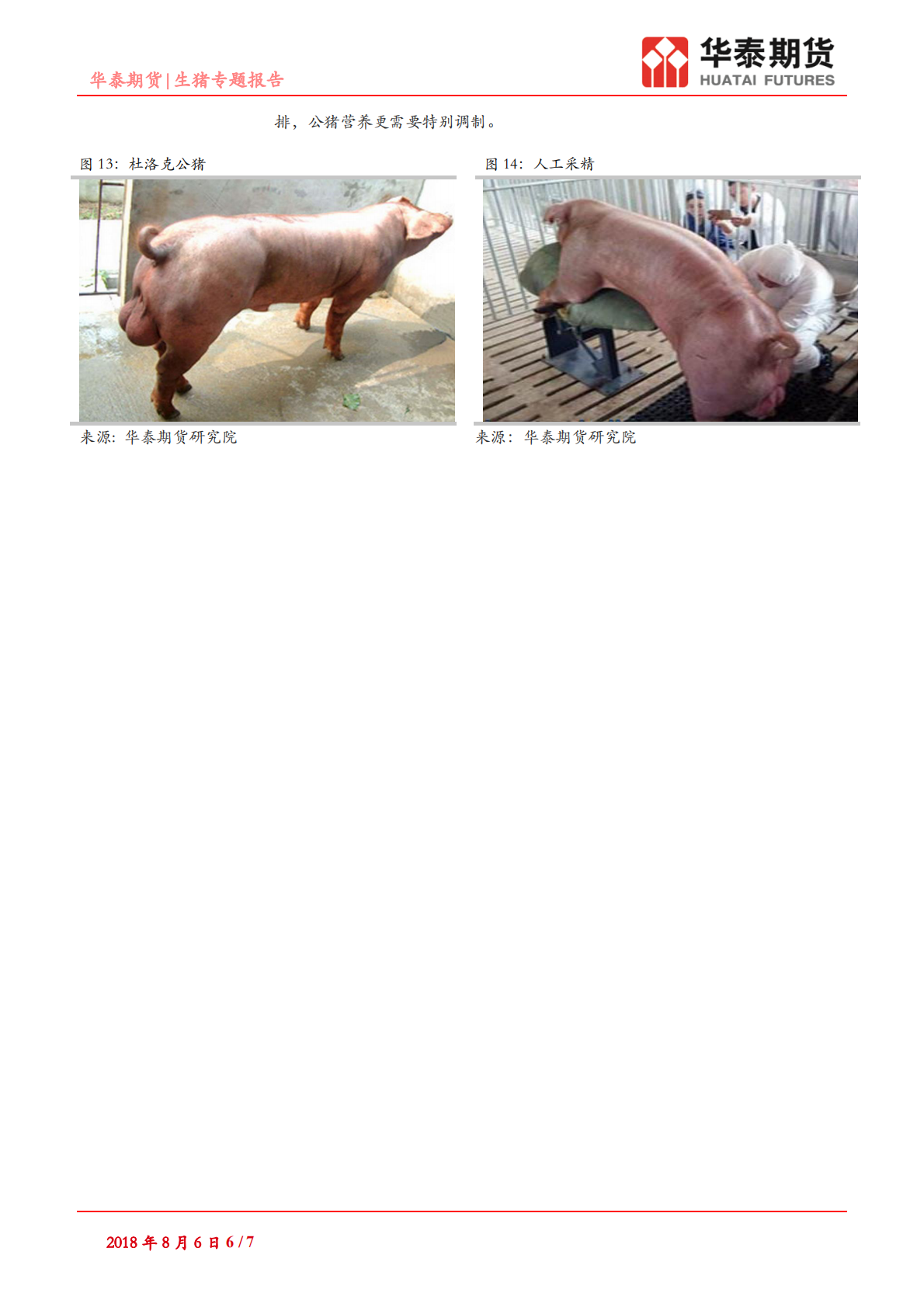 生猪专题报告：肉猪的一生.pdf 第6页