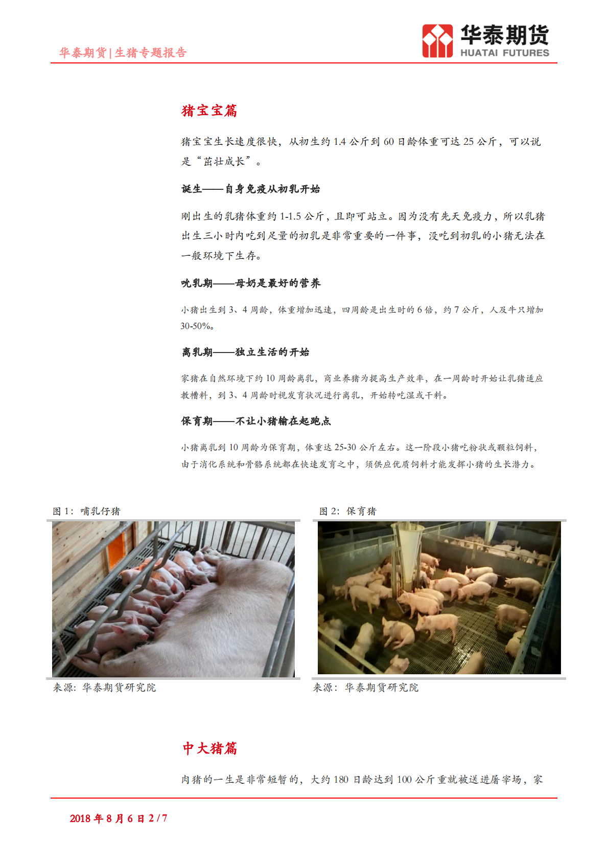 生猪专题报告：肉猪的一生.pdf 第2页