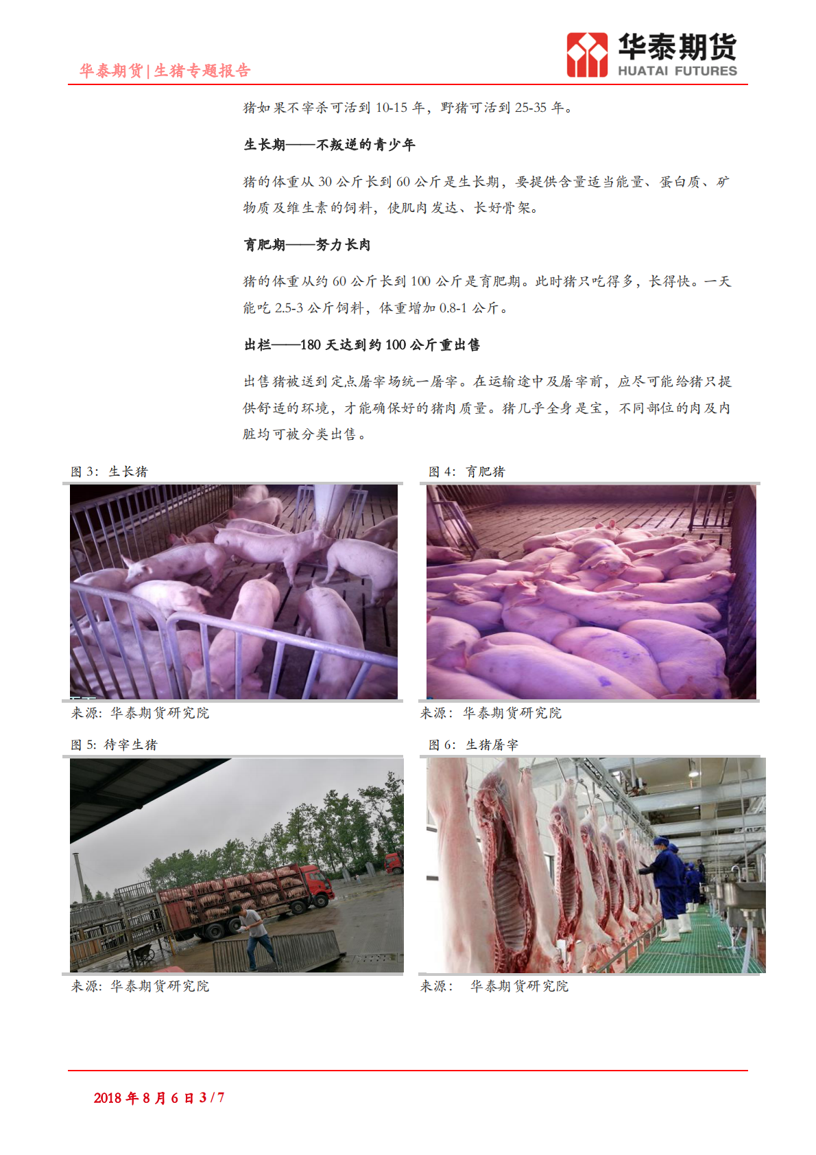 生猪专题报告：肉猪的一生.pdf 第3页