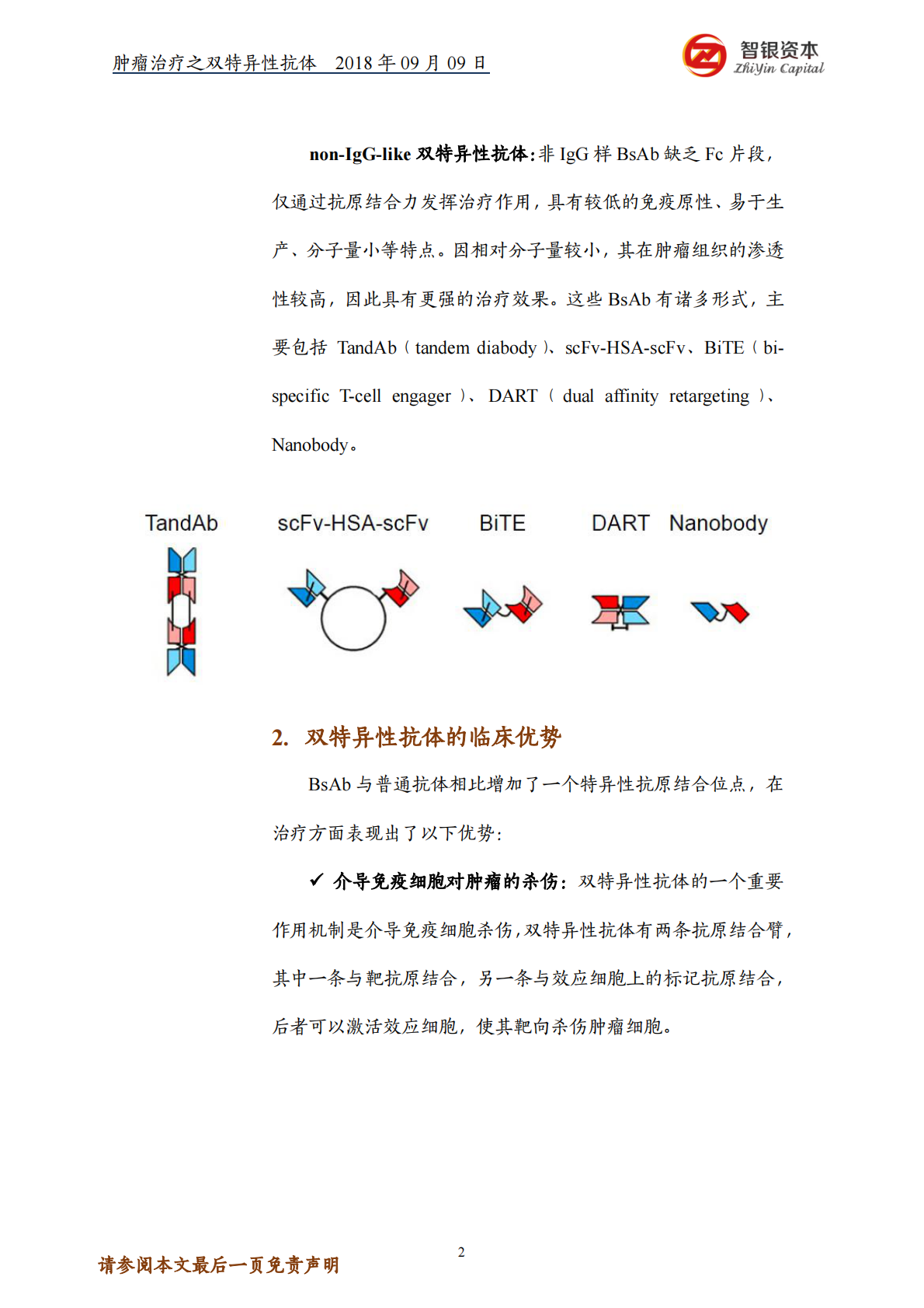 肿瘤治疗之双特异性抗体&mdash;&mdash;结构、优势、制备、研究现状.pdf 第2页