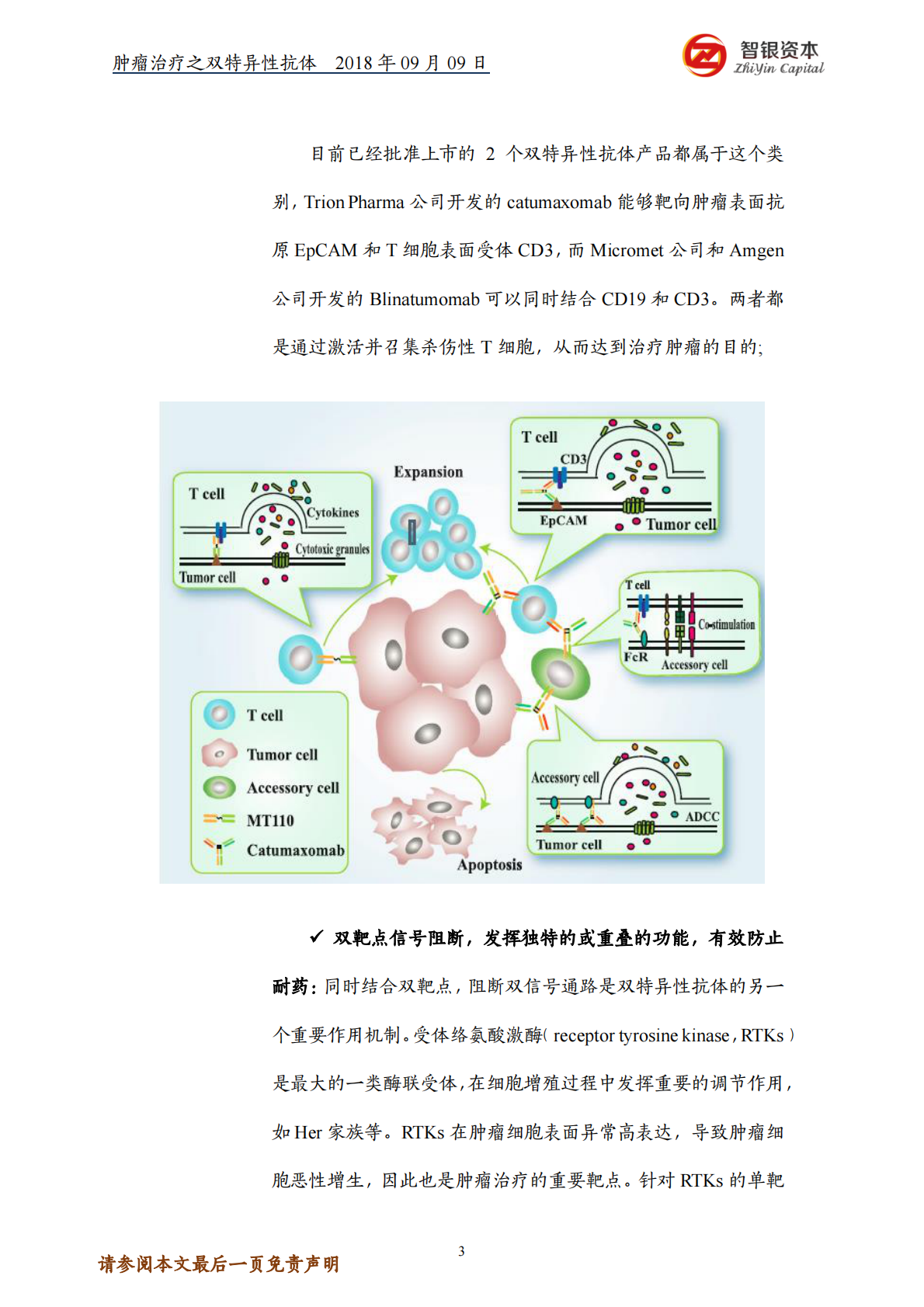 肿瘤治疗之双特异性抗体&mdash;&mdash;结构、优势、制备、研究现状.pdf 第3页