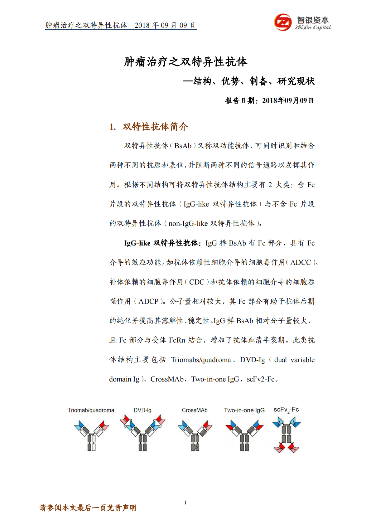 肿瘤治疗之双特异性抗体&mdash;&mdash;结构、优势、制备、研究现状.pdf 第1页