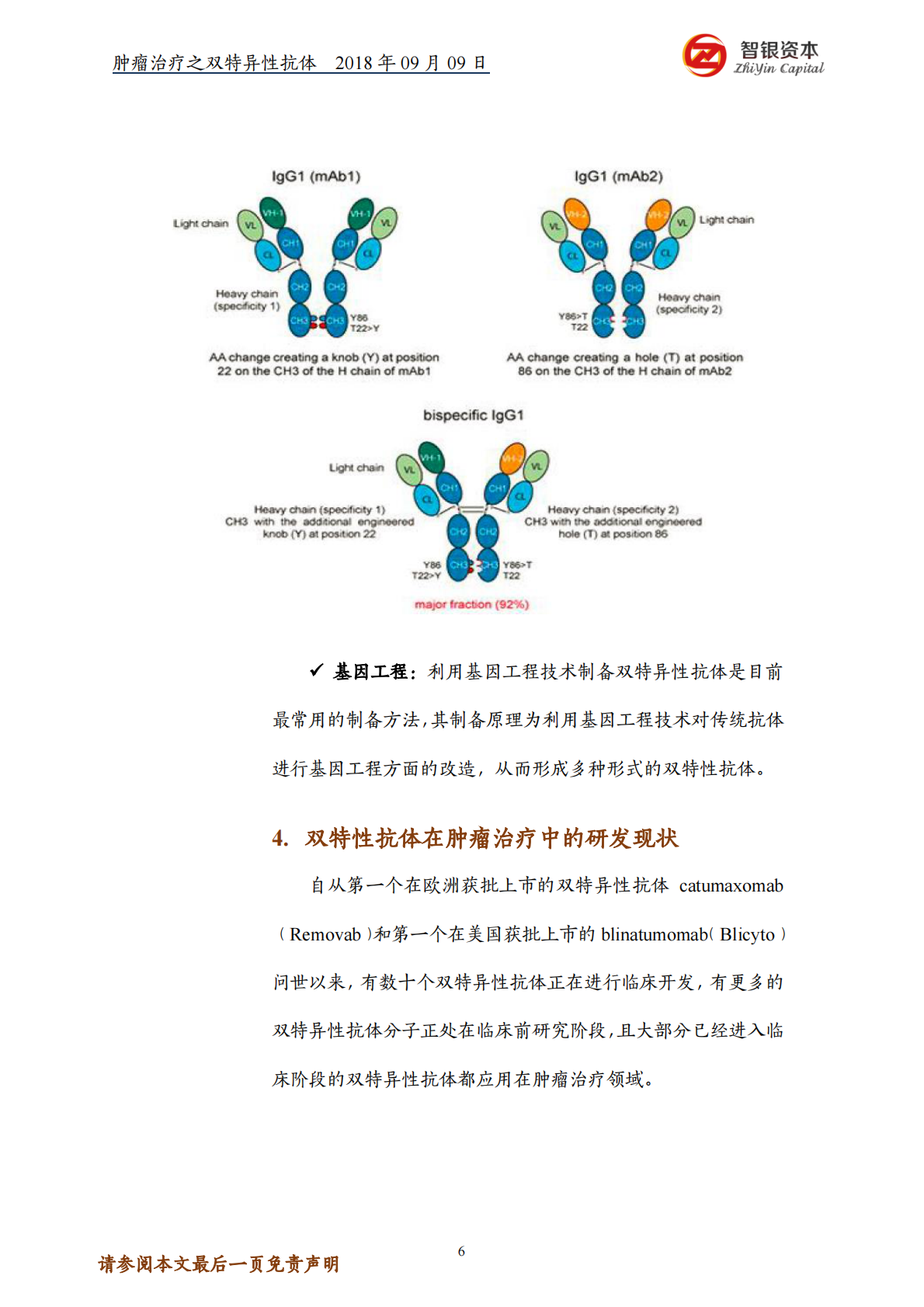 肿瘤治疗之双特异性抗体&mdash;&mdash;结构、优势、制备、研究现状.pdf 第6页