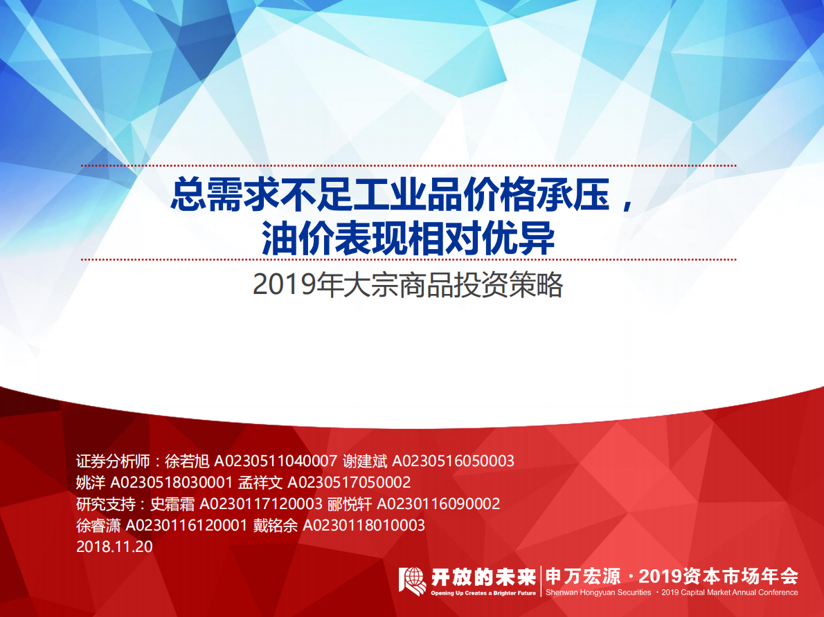 2019年大宗商品投资策略：总需求不足工业品价格承压，油价表现相对优异.pdf 第1页