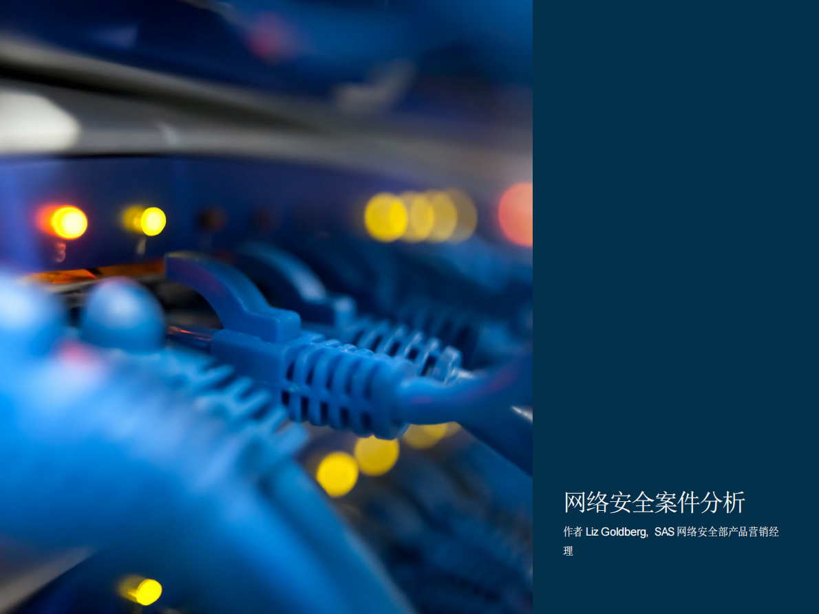 策略推动创新：从治疗疾病到探索太阳系，分析的创新用法正在改变世界.pdf 第6页