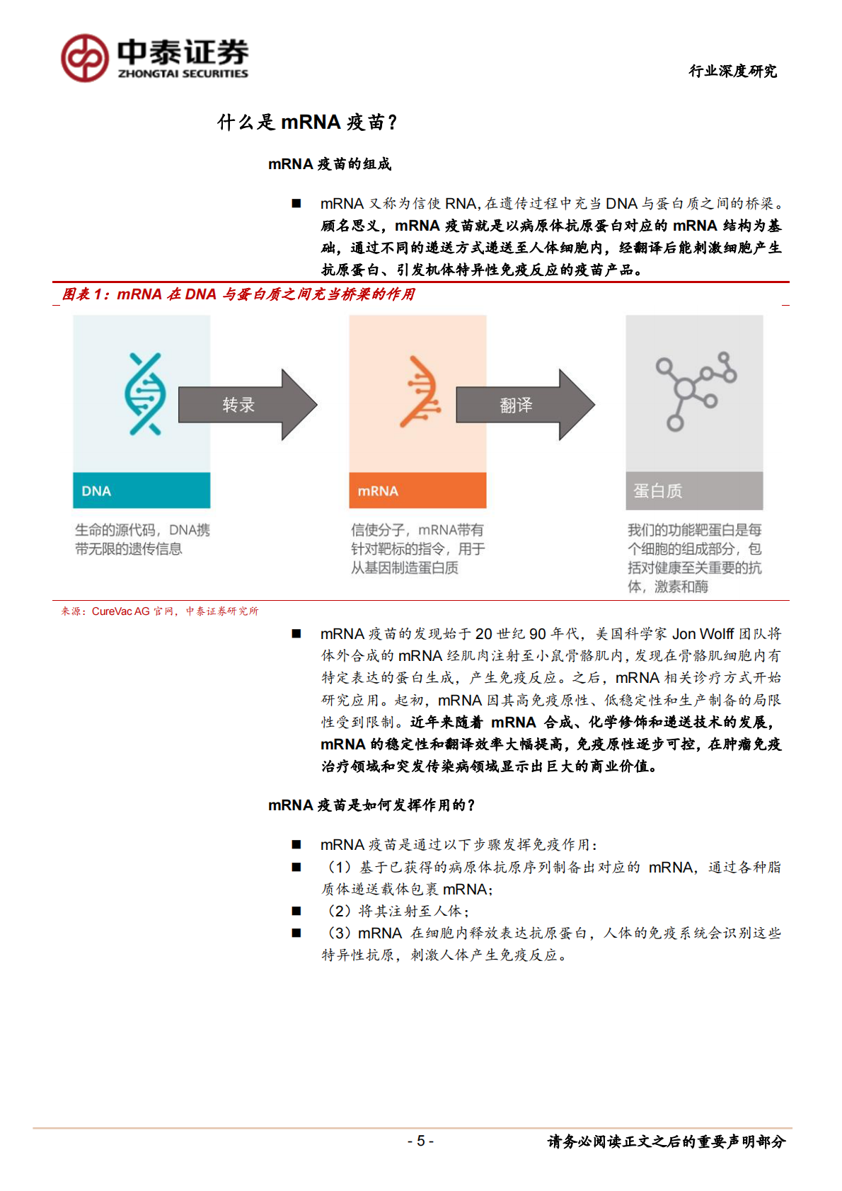 新冠病毒疫苗研究系列2：mRNA疫苗究竟是&ldquo;何方神圣&rdquo;？.pdf 第5页