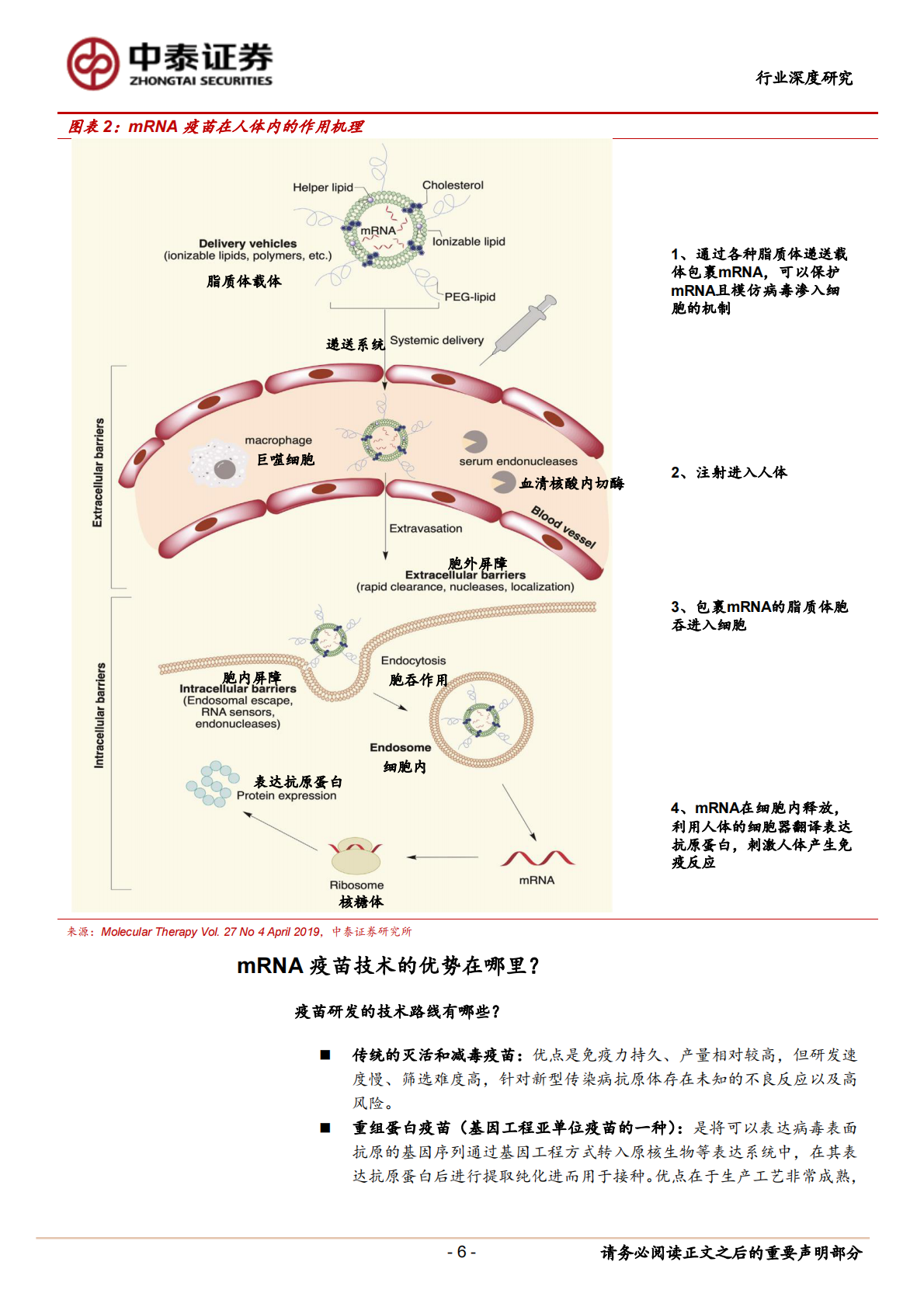 新冠病毒疫苗研究系列2：mRNA疫苗究竟是&ldquo;何方神圣&rdquo;？.pdf 第6页