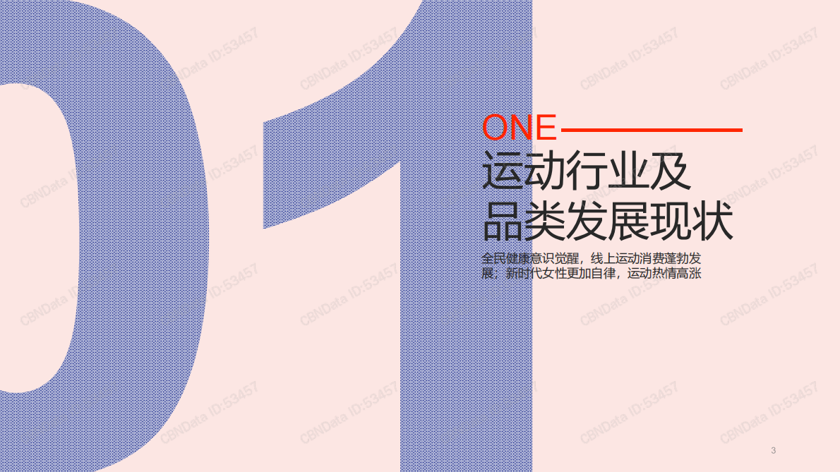 2020线上运动市场女性消费者洞察报告.pdf 第3页