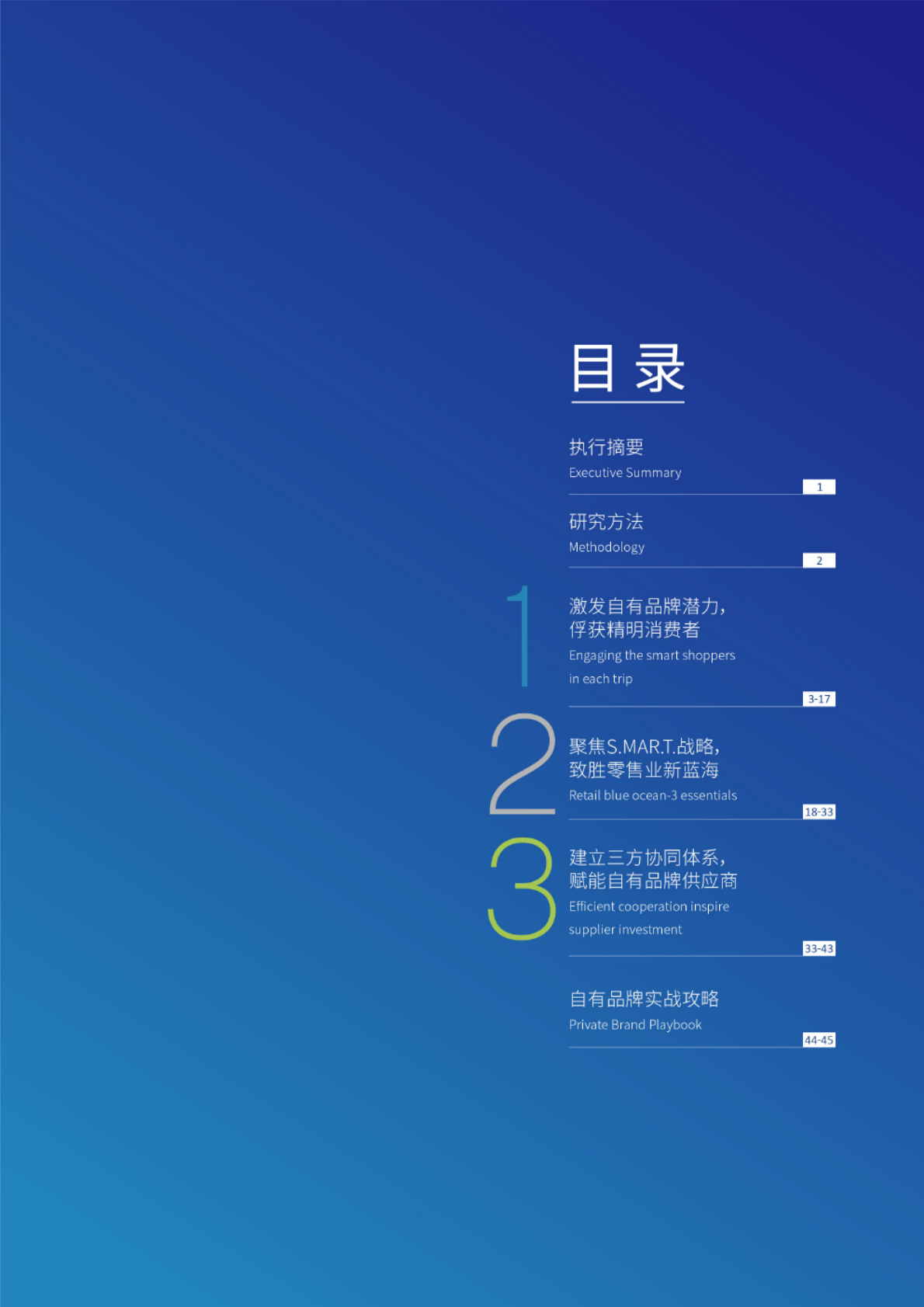 2020年中国自有品牌达曼白皮书.pdf 第2页