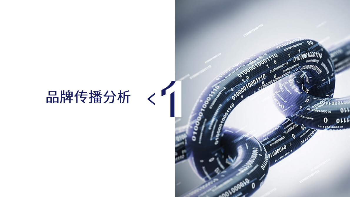 半亩花田黑马品牌传播策略分析.pdf 第4页