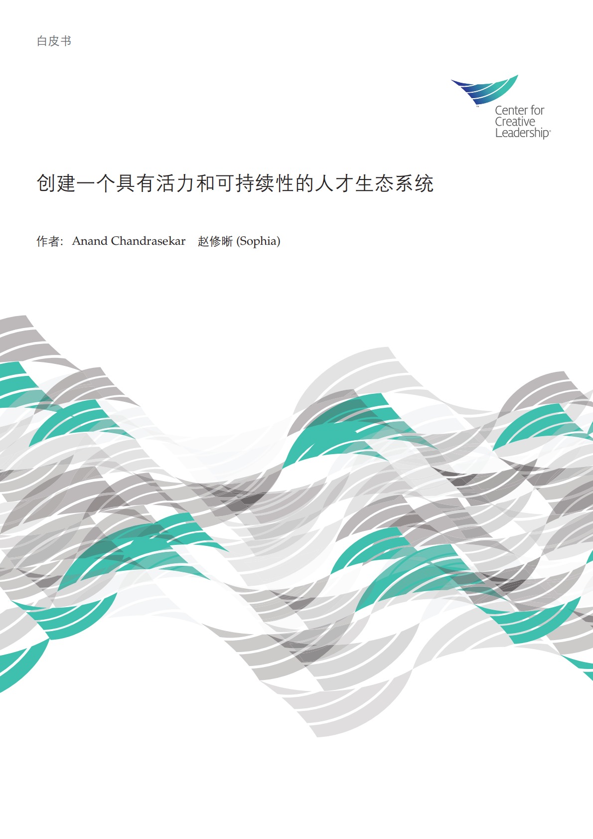 创建一个具有活力和可持续性的人才生态系统.pdf 第1页