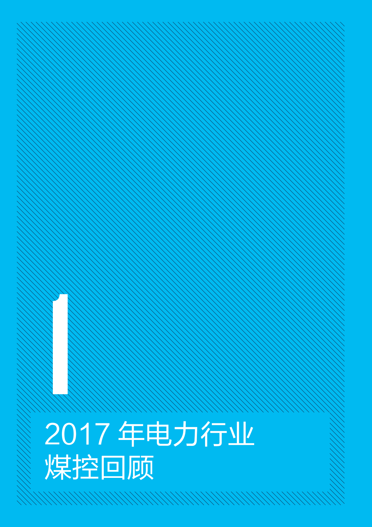 持续推进电力改革，提高可再生能源消纳.pdf 第4页