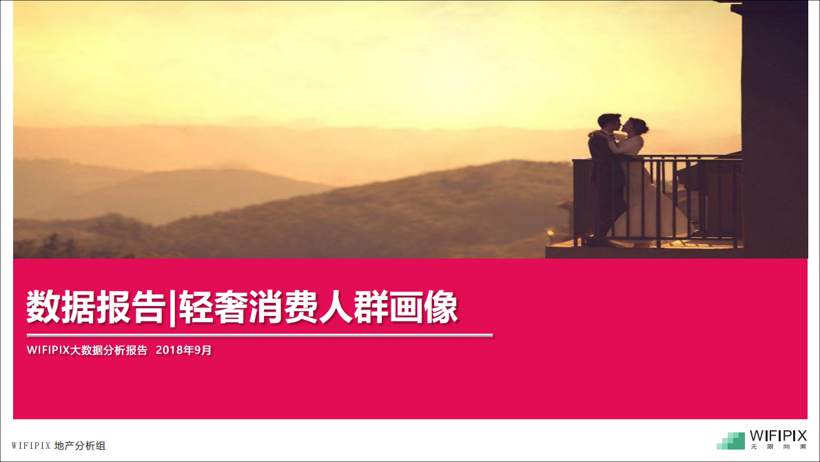 轻奢消费人群画像.pdf 第1页