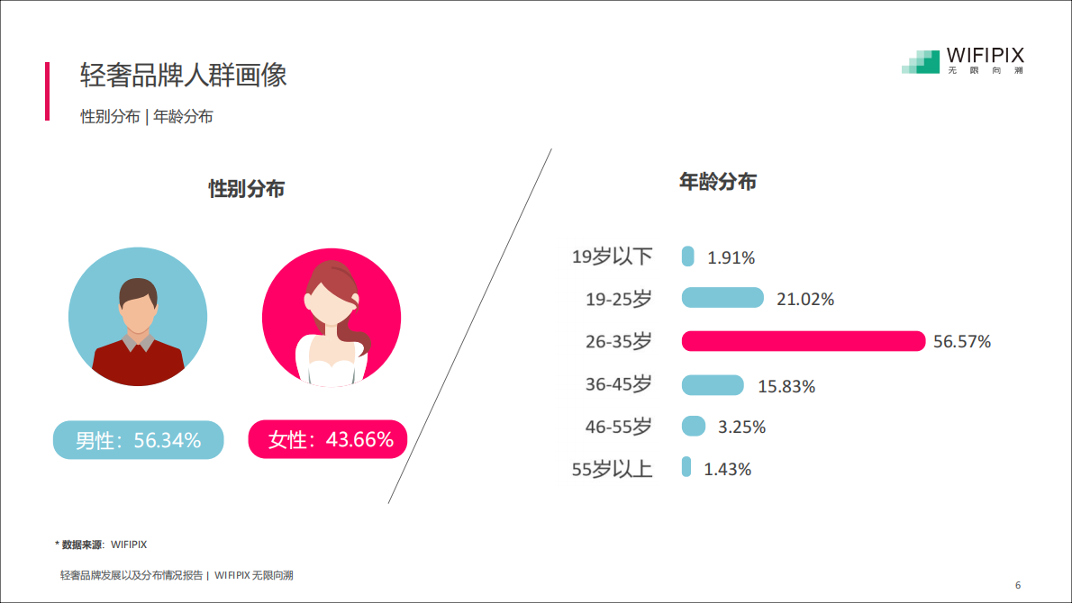 轻奢消费人群画像.pdf 第6页