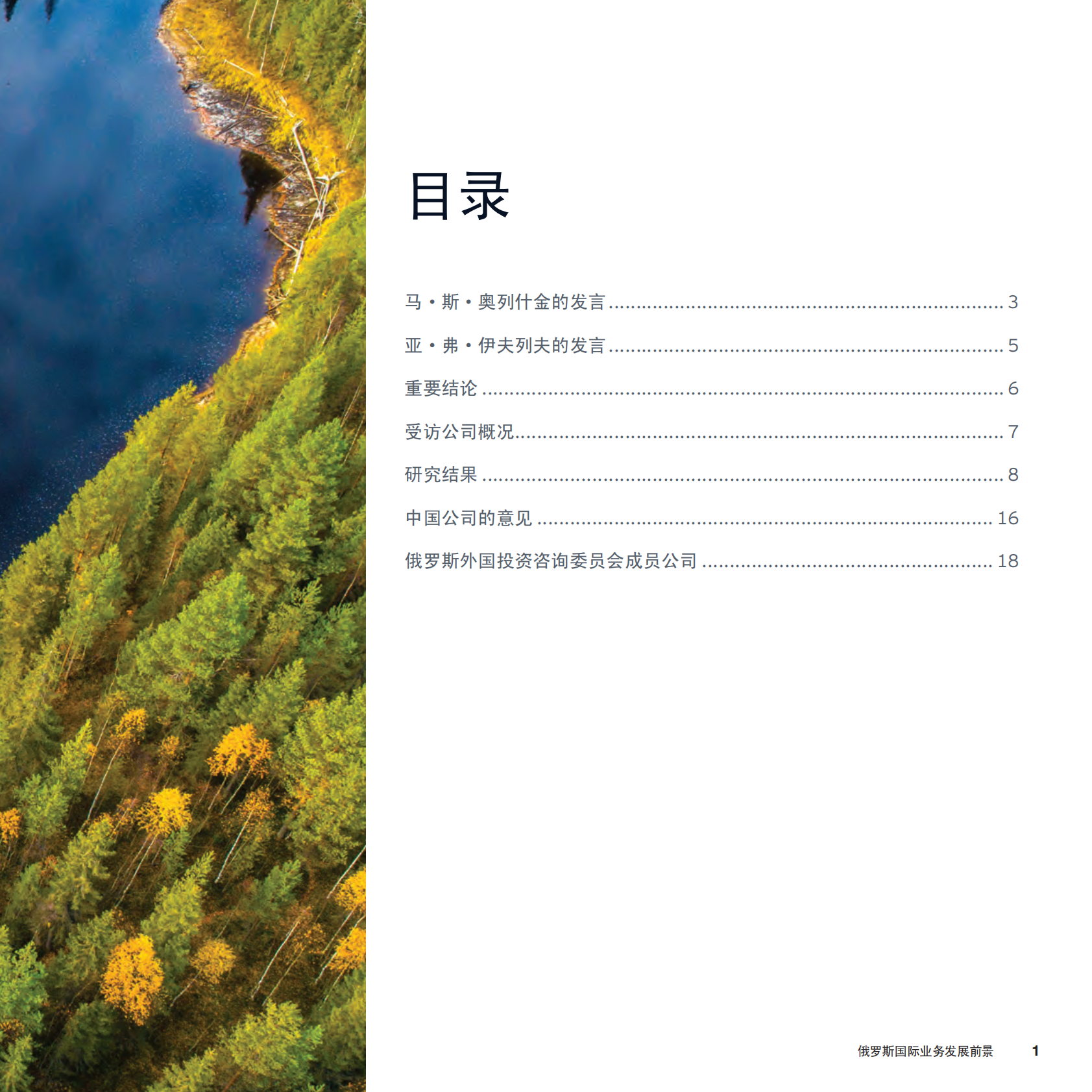 俄罗斯国际业务发展前景.pdf 第3页