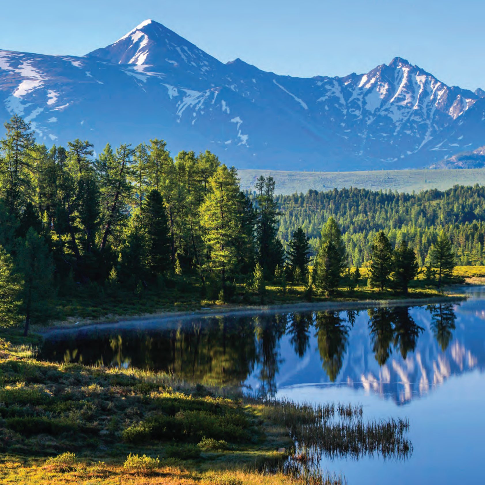 俄罗斯国际业务发展前景.pdf 第4页